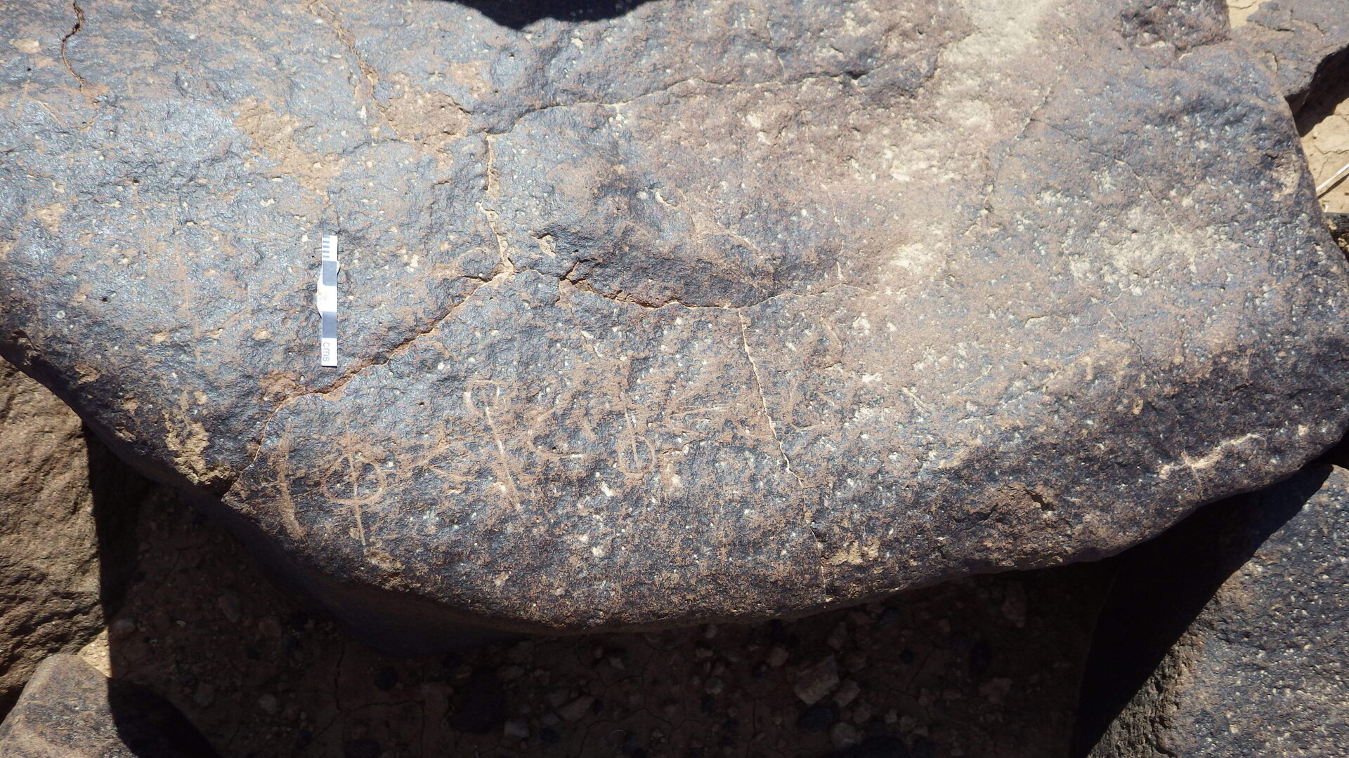 Rimg0339.jpg