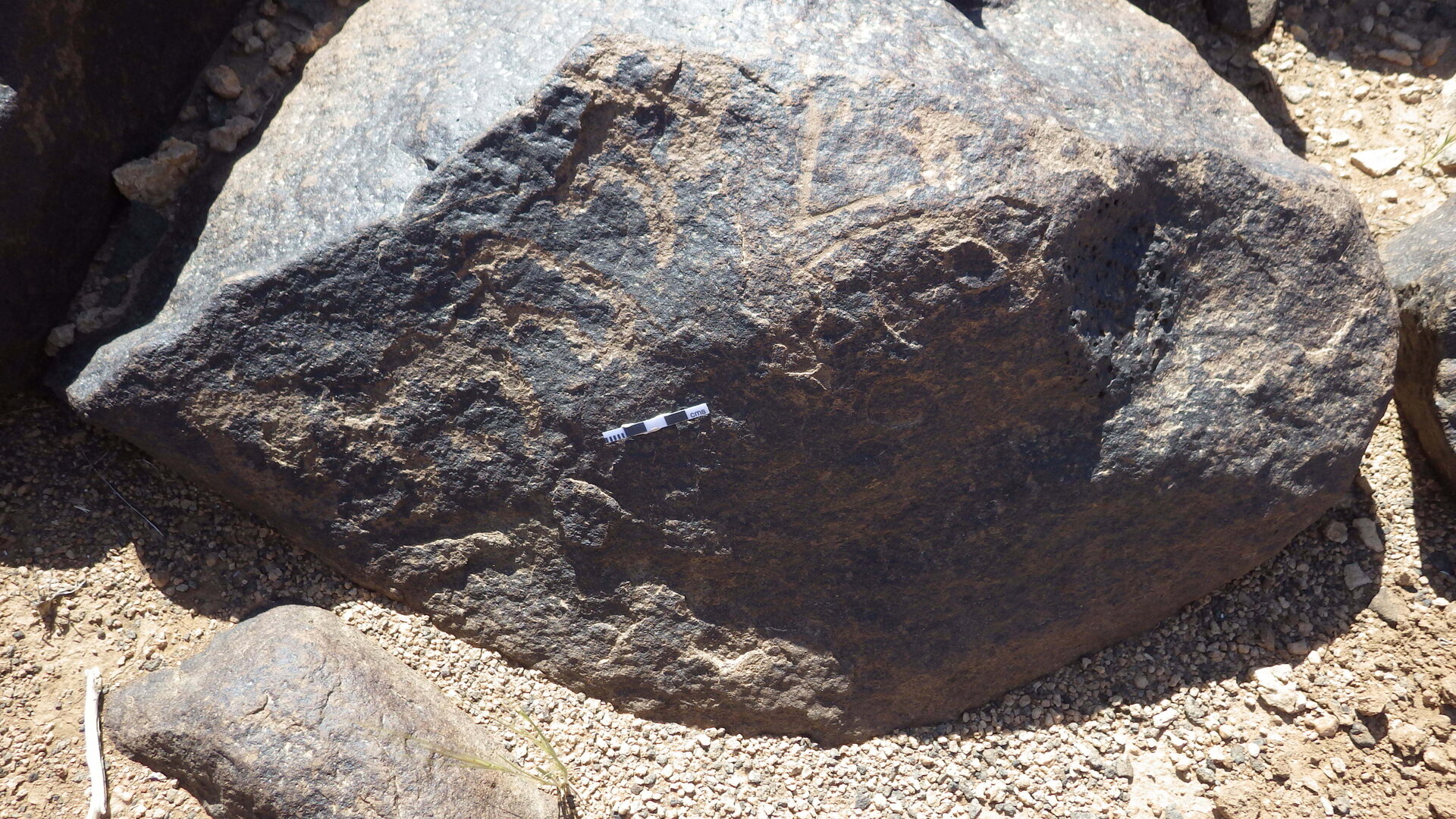 Rimg0347.jpg