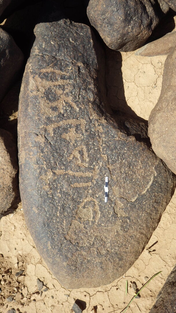 Rimg0362.jpg