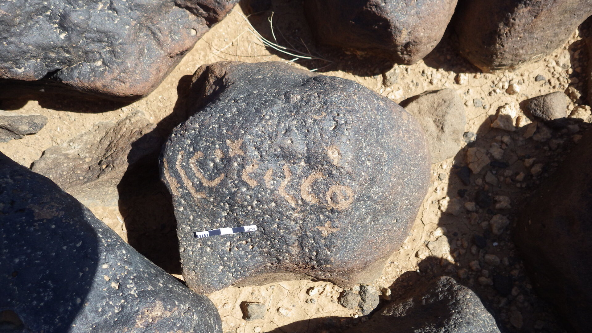 Rimg0378.jpg