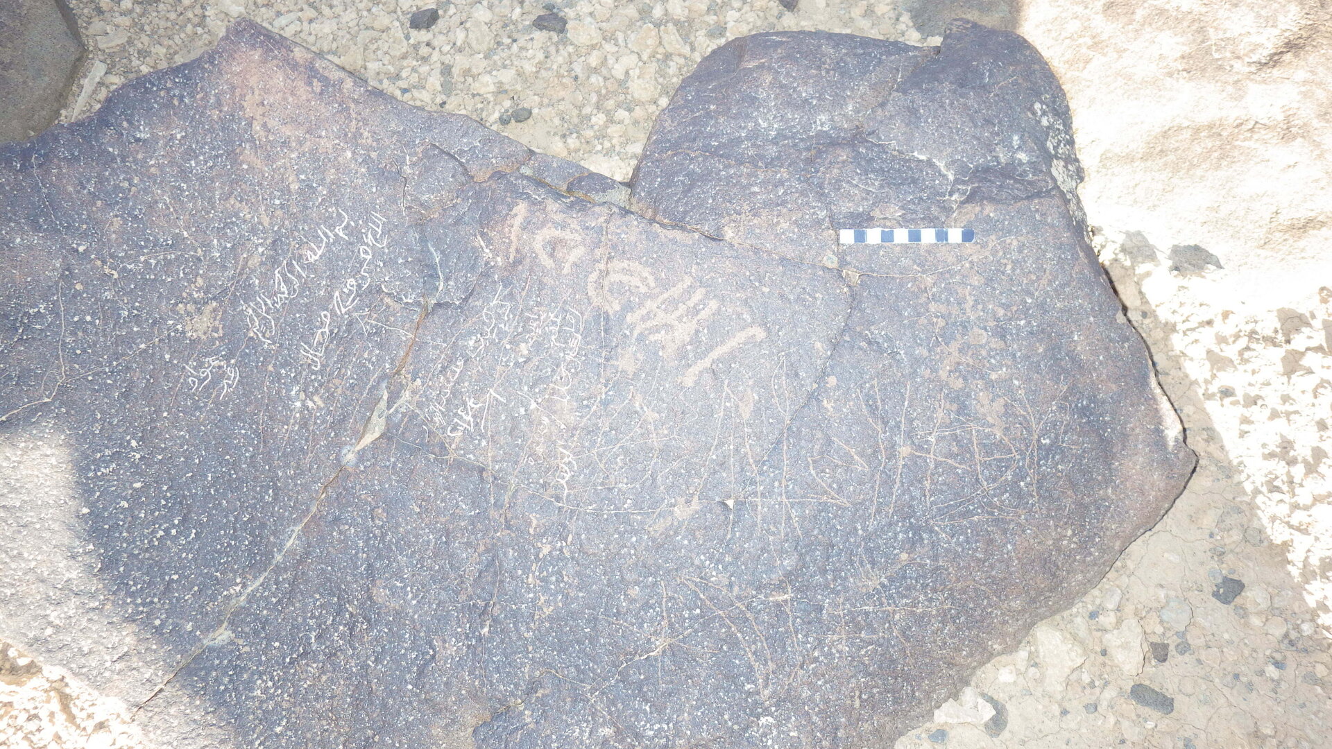 Rimg4293.jpg