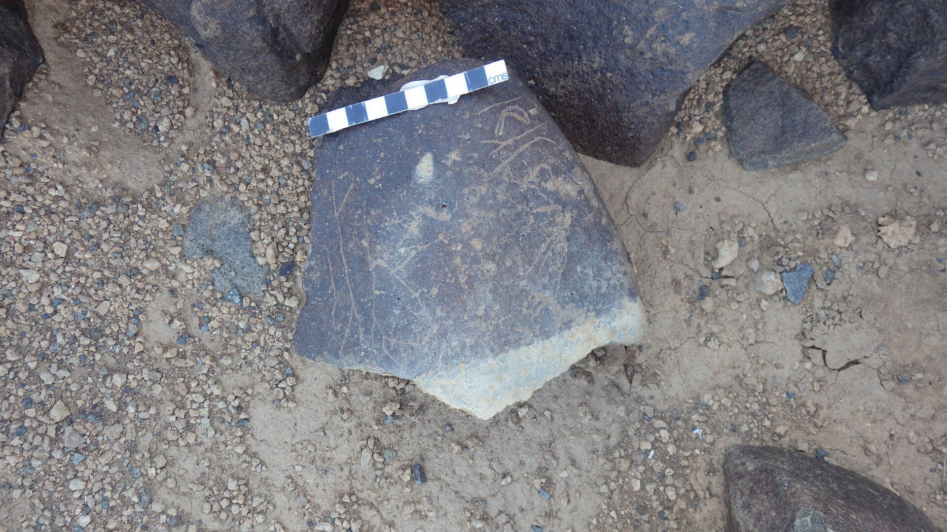 Rimg4313.jpg