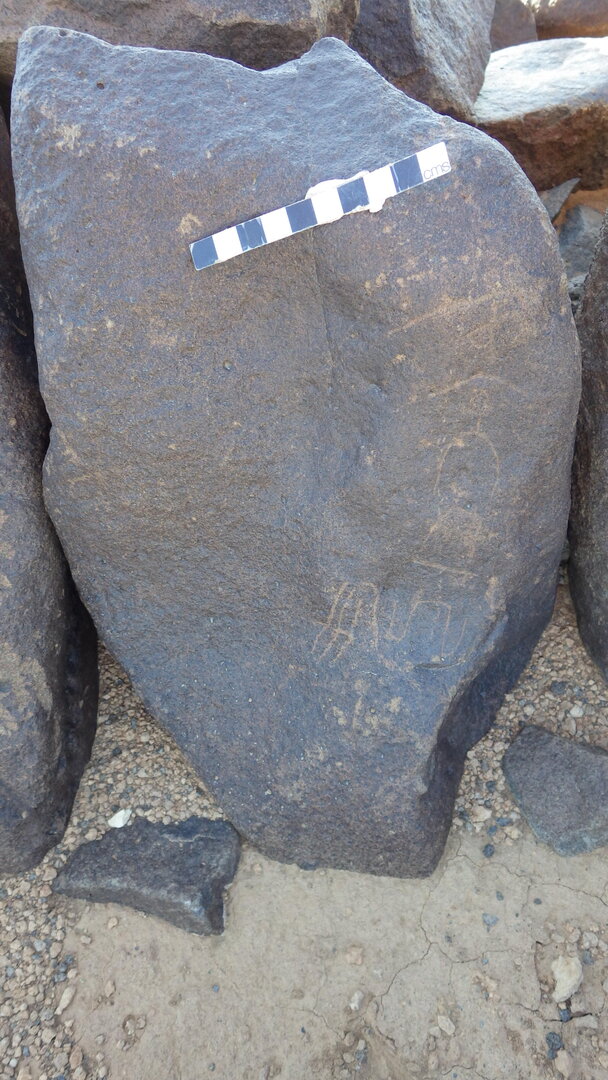 Rimg4317.jpg