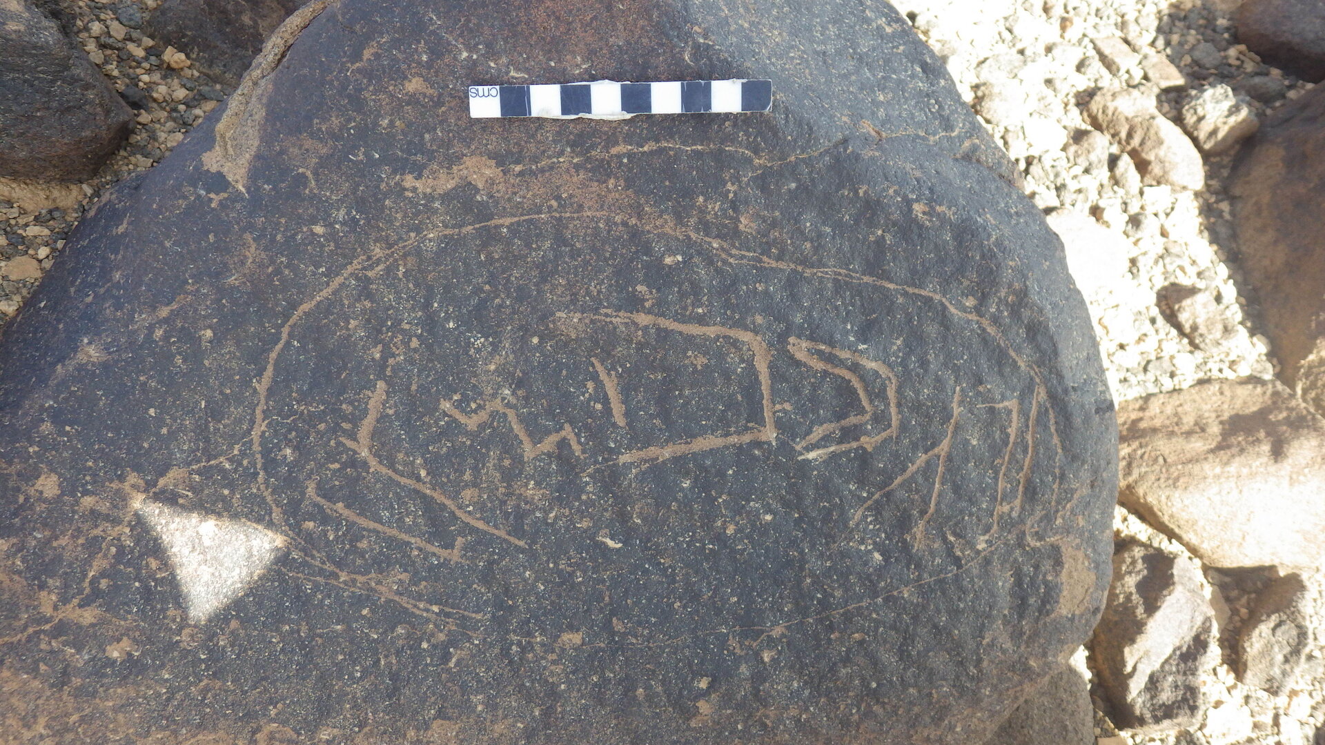 Rimg3704.jpg