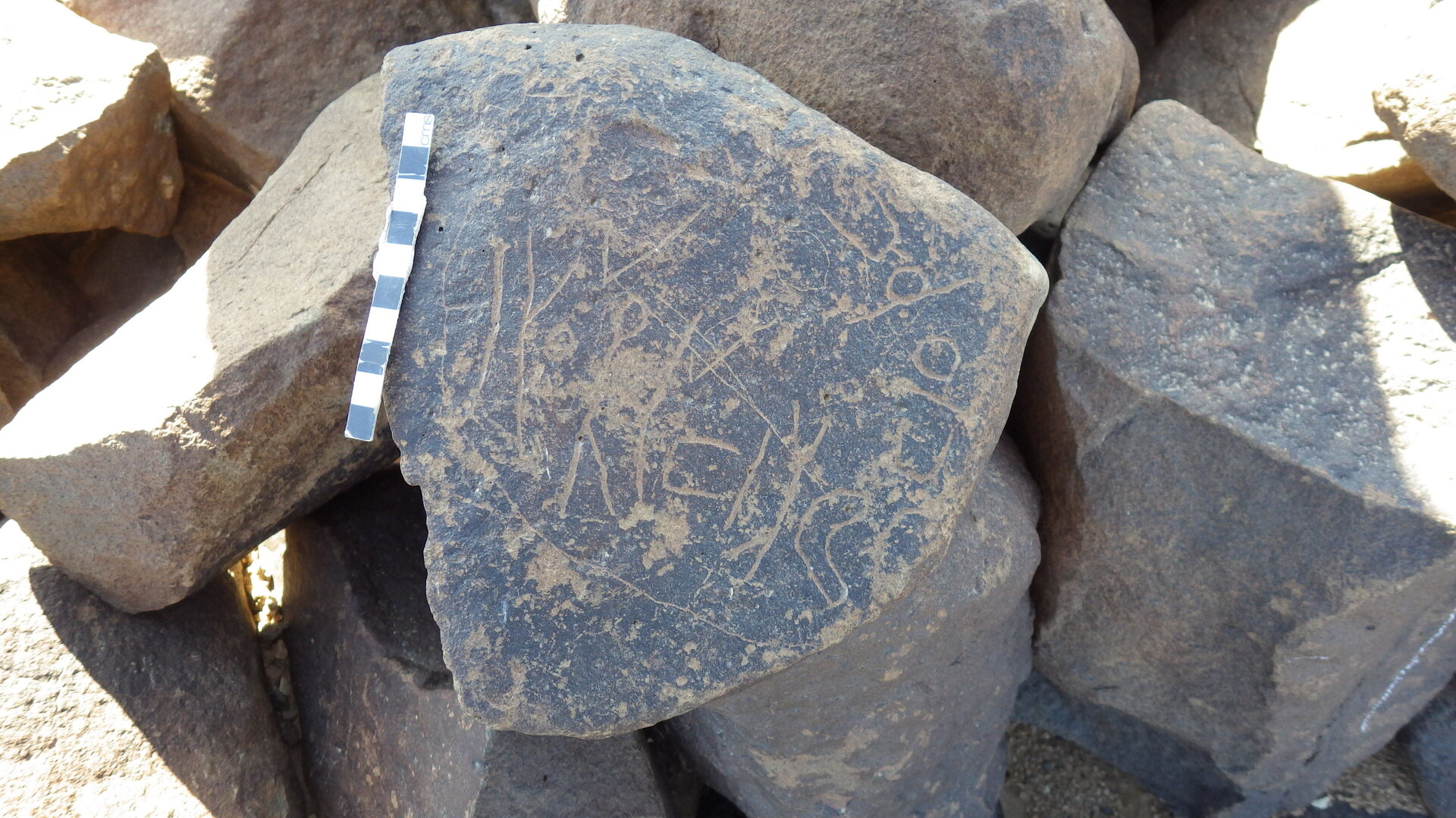 Rimg4324.jpg