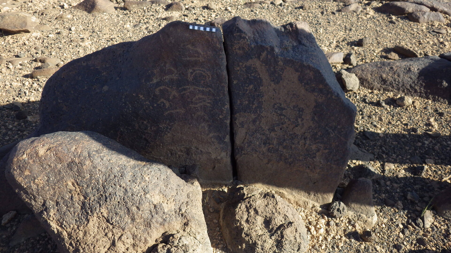 Rimg4374.jpg