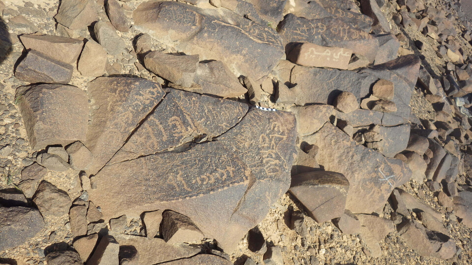 Rimg3711.jpg