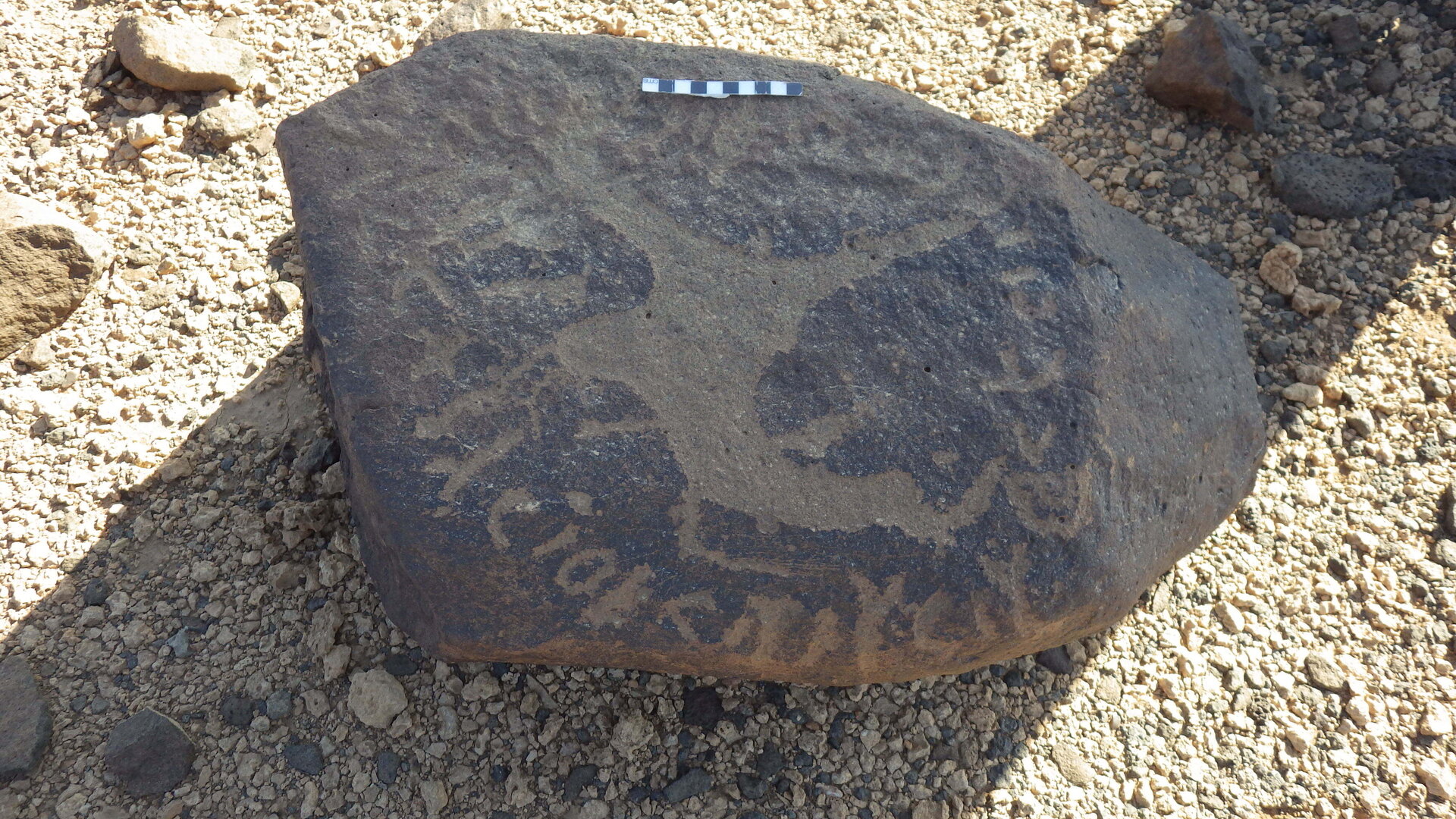 Rimg4395.jpg