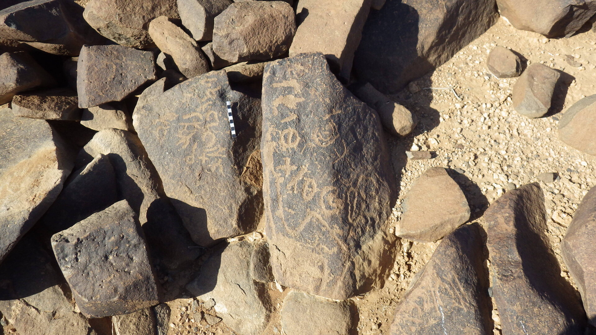 Rimg4439.jpg