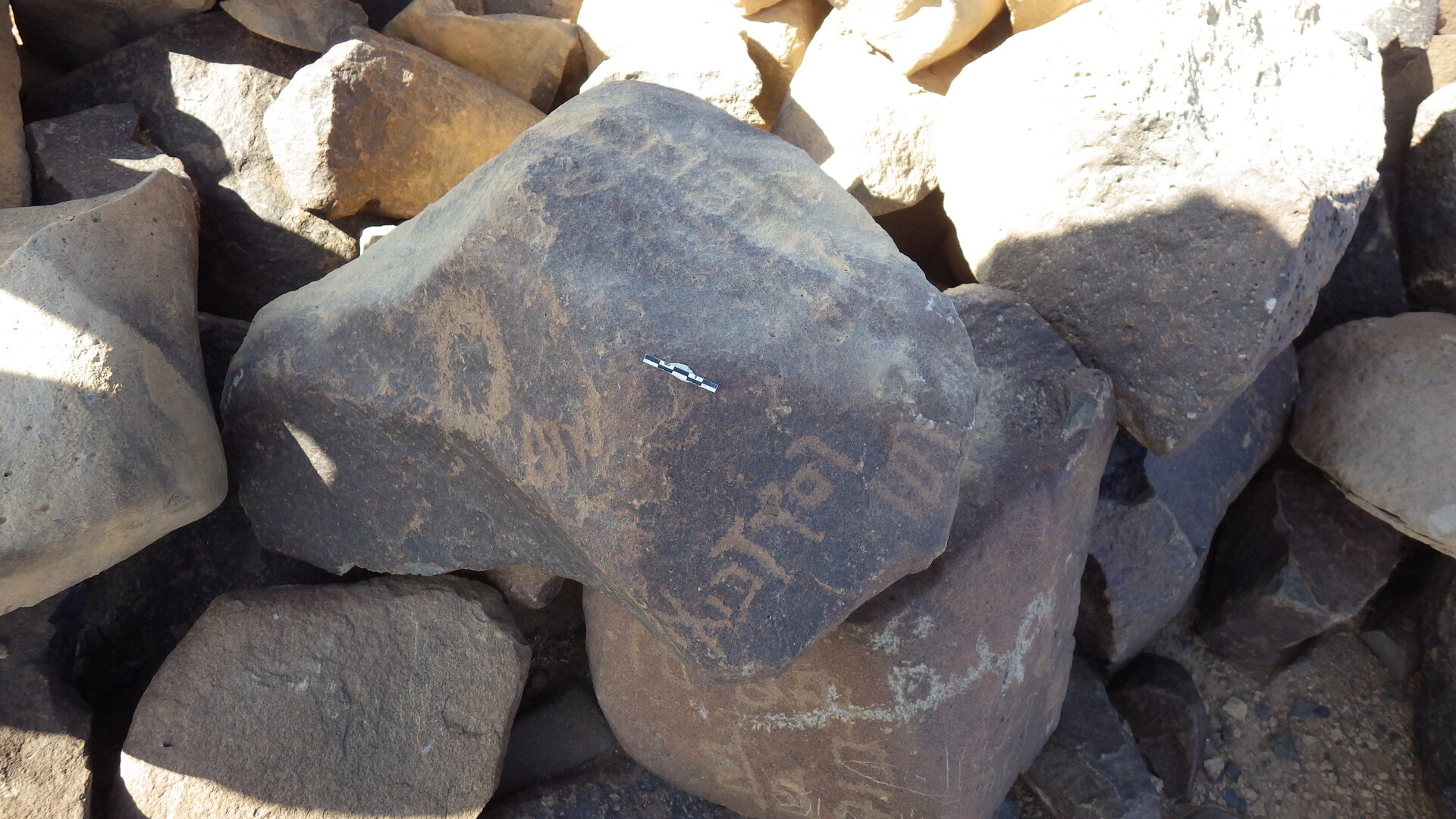 Rimg4474.jpg
