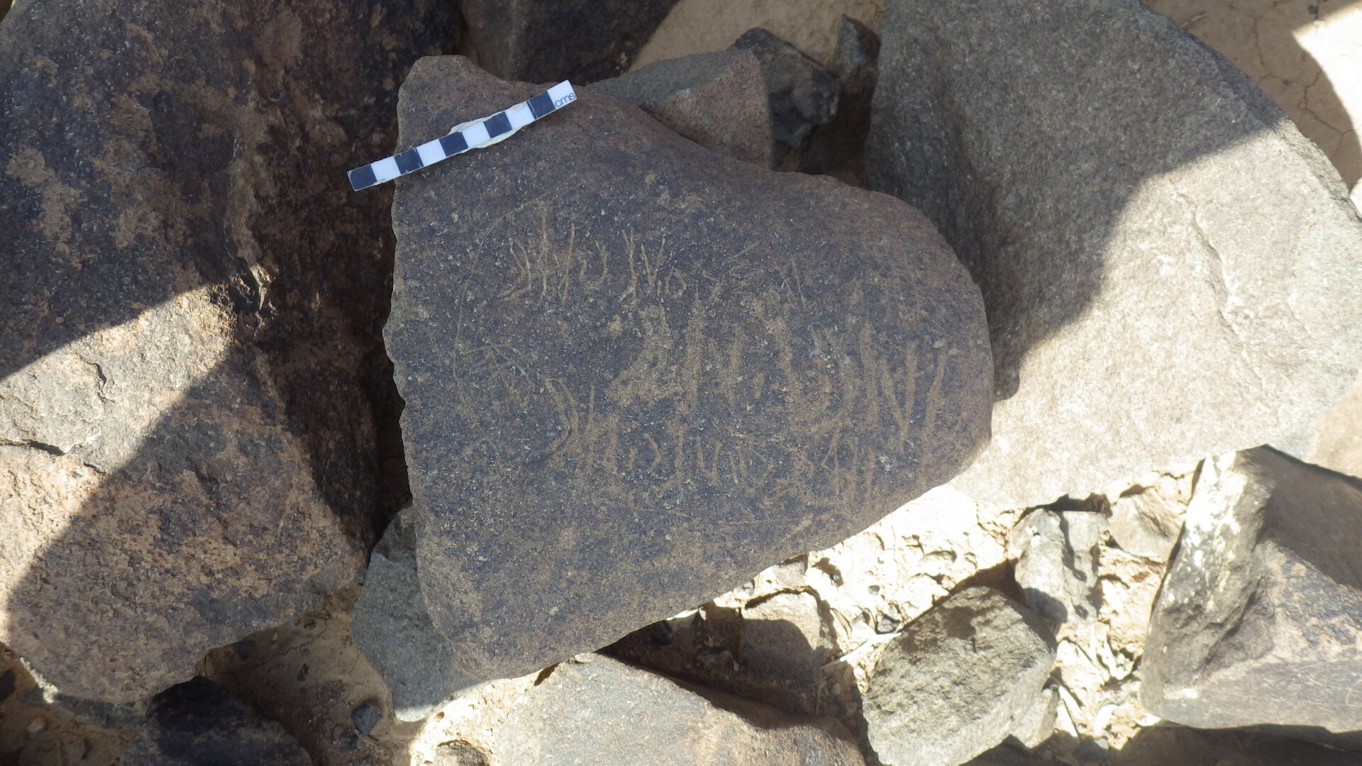 Rimg3730.jpg