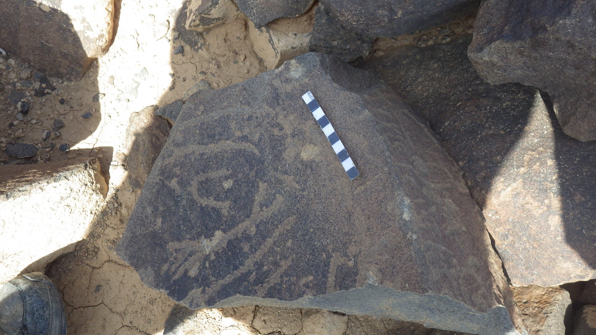 Rimg3737.jpg