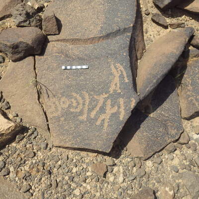 Rimg3742.jpg