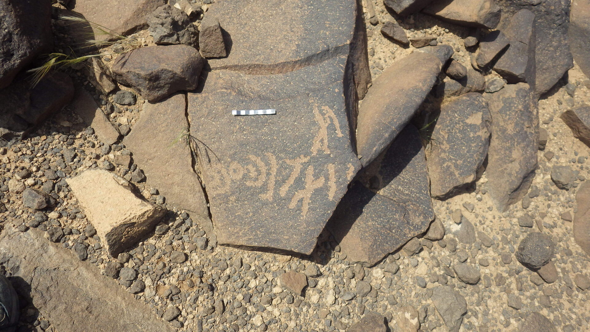 Rimg3742.jpg