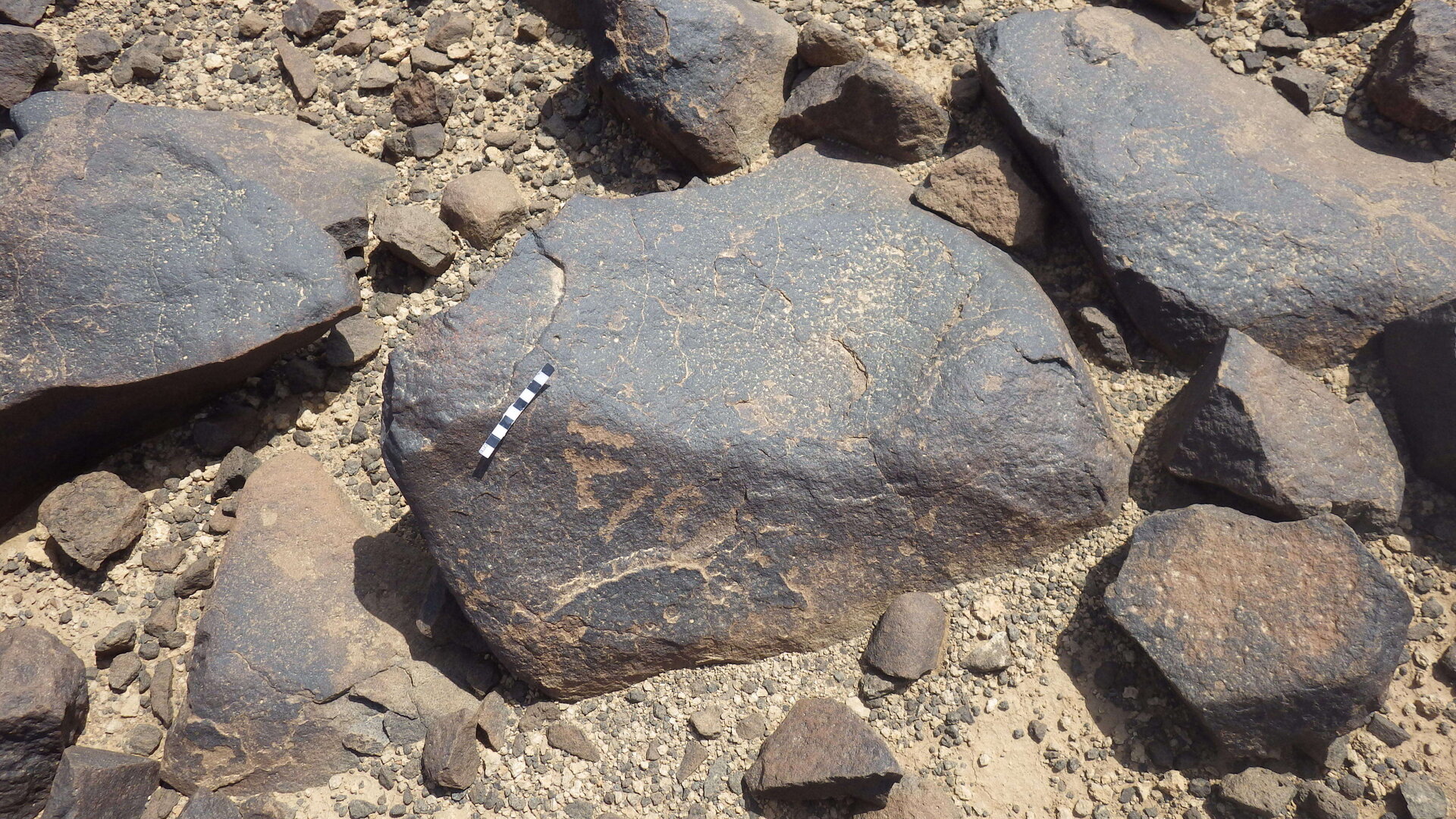 Rimg3744.jpg