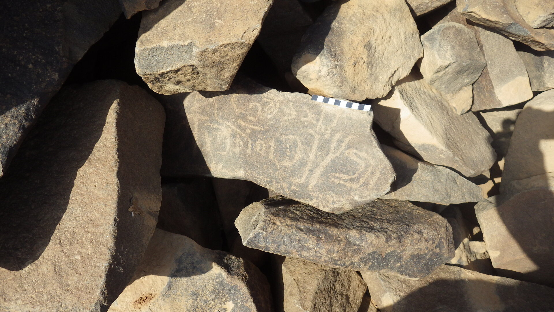 Rimg3746.jpg