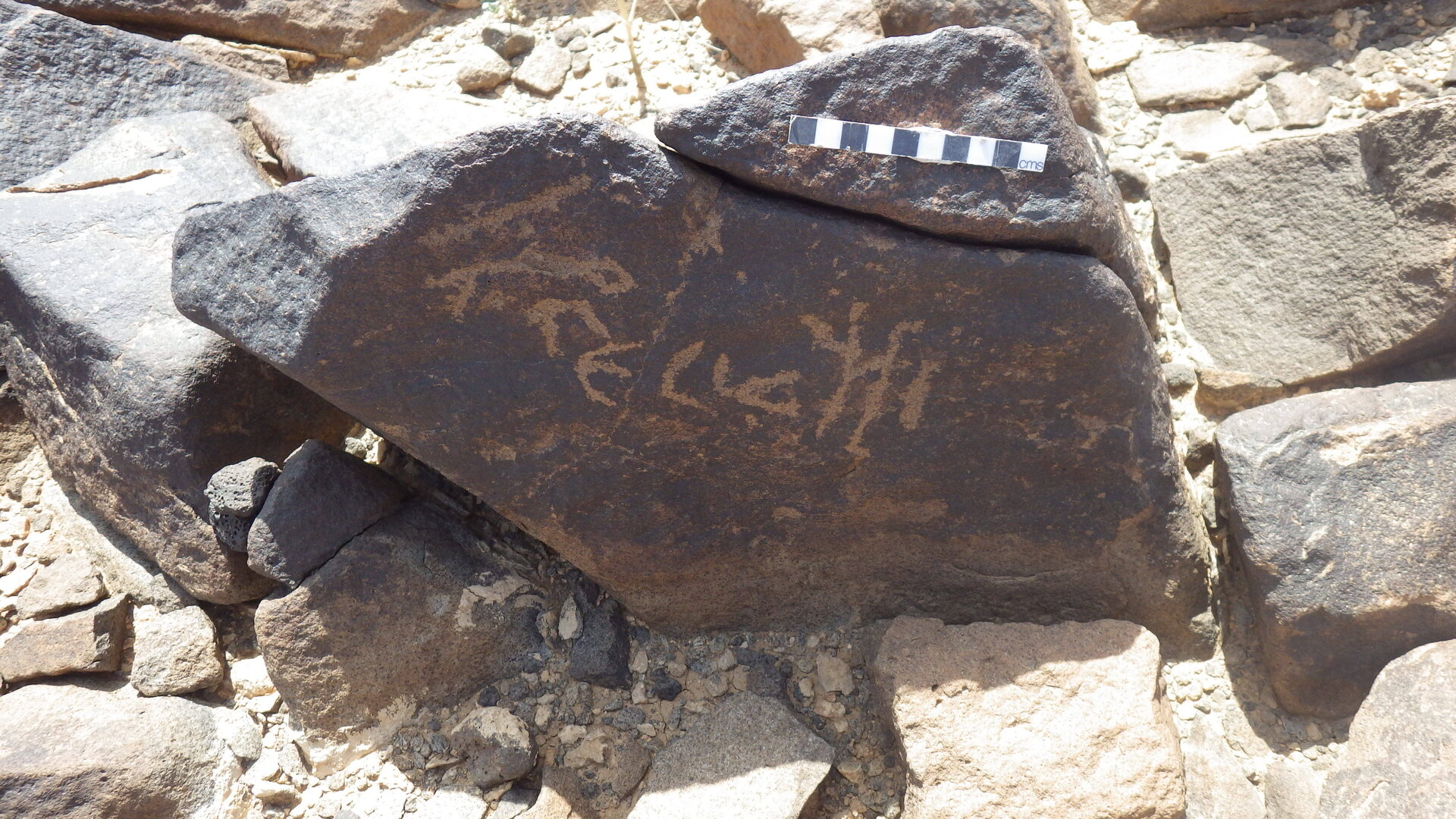 Rimg3754.jpg
