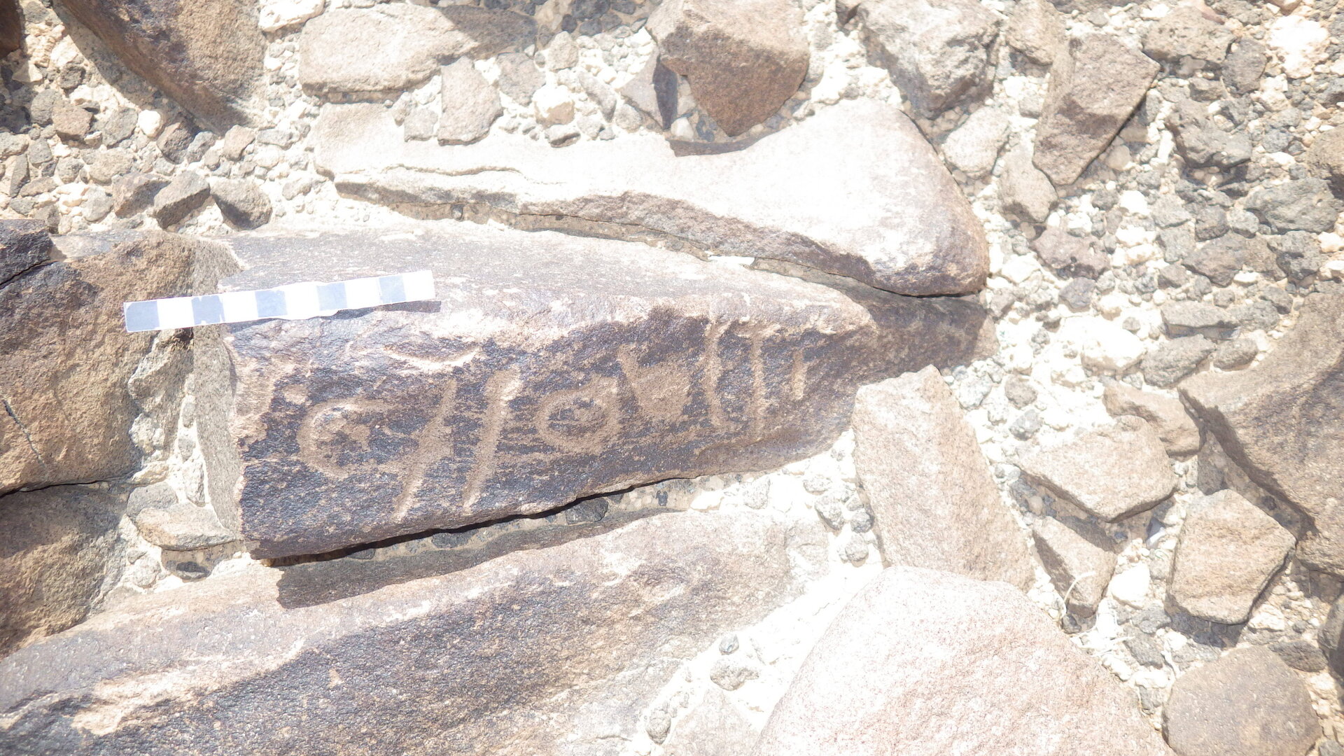 Rimg3756.jpg