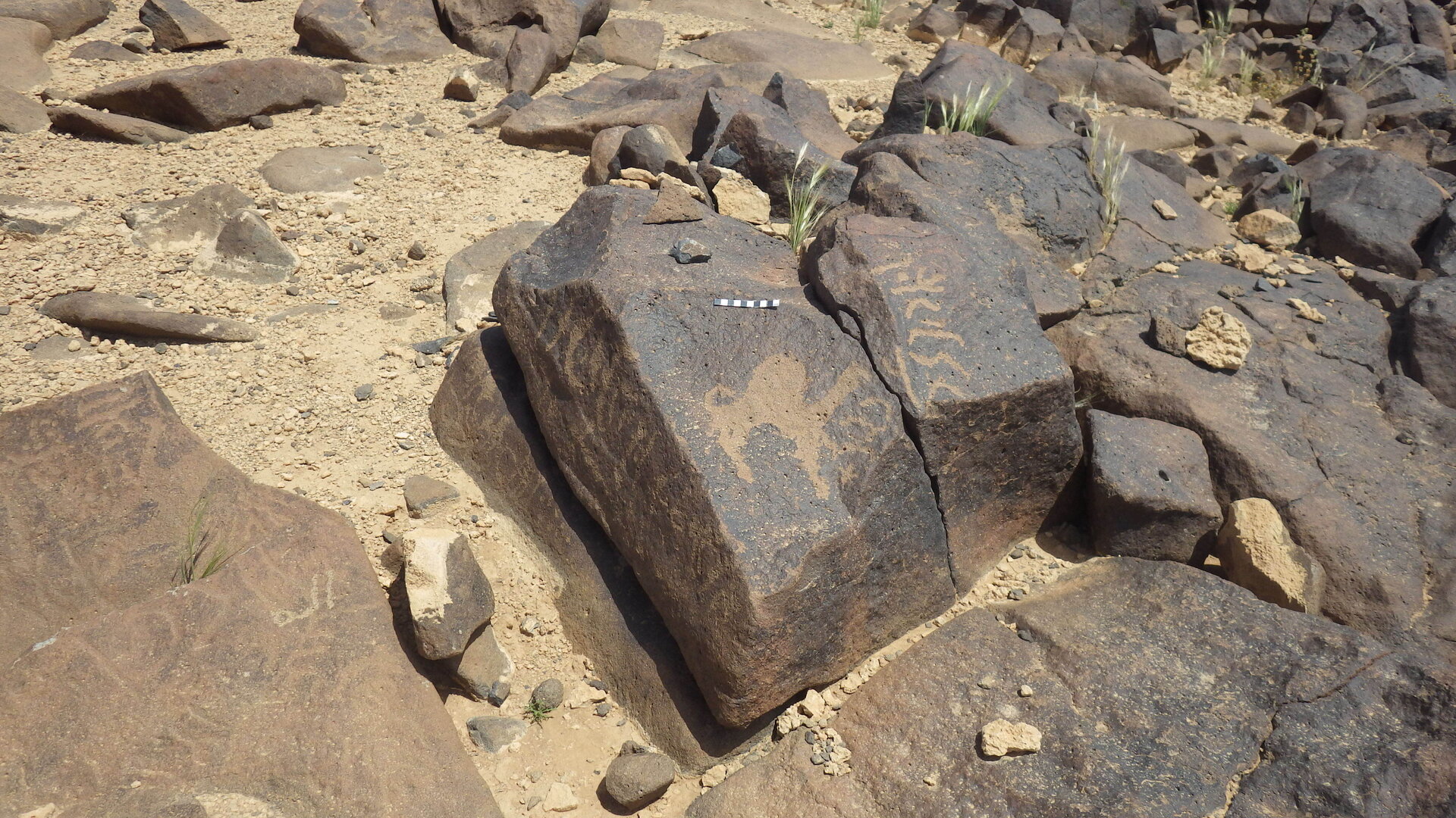 Rimg3768.jpg