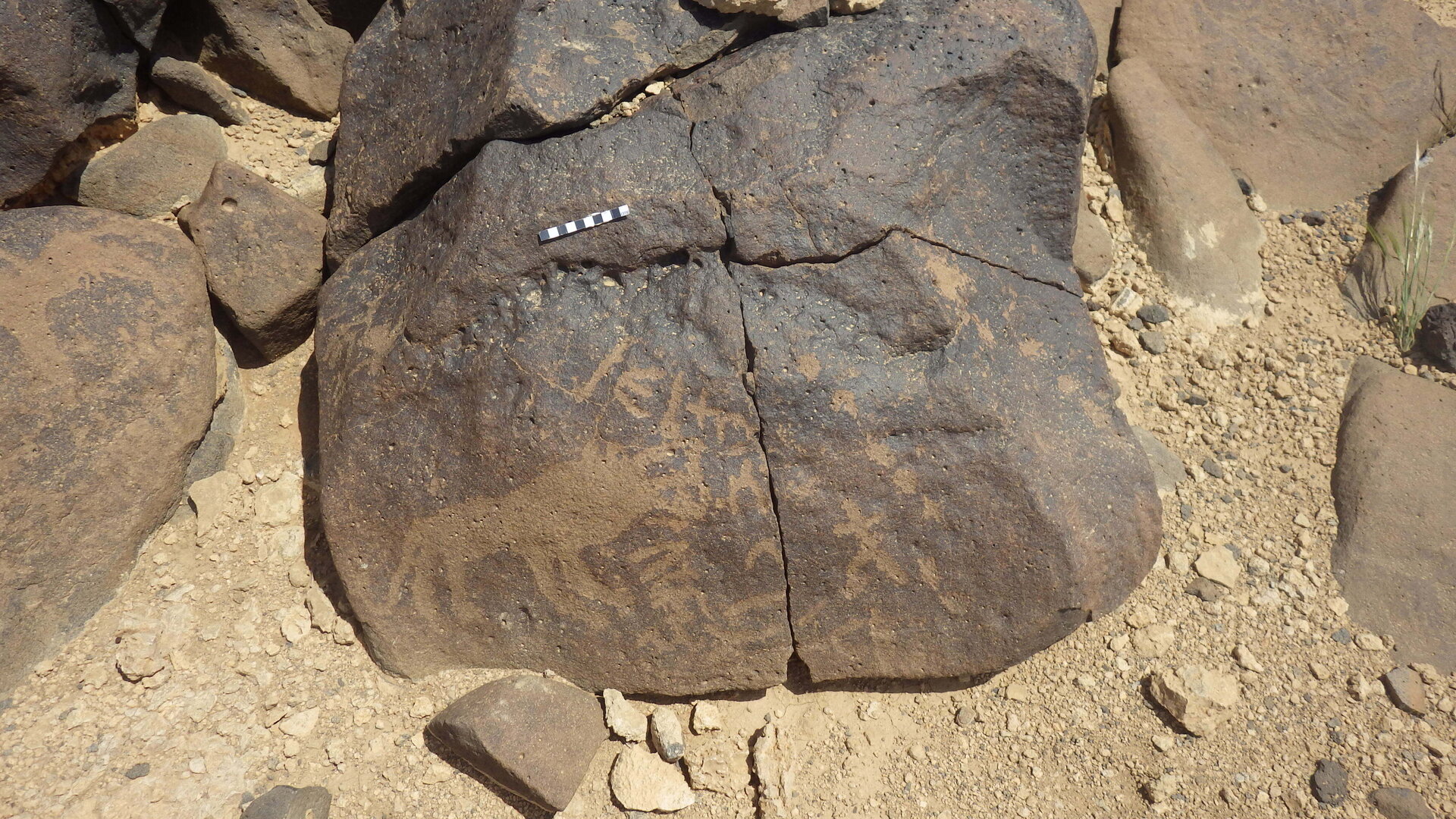 Rimg3772.jpg