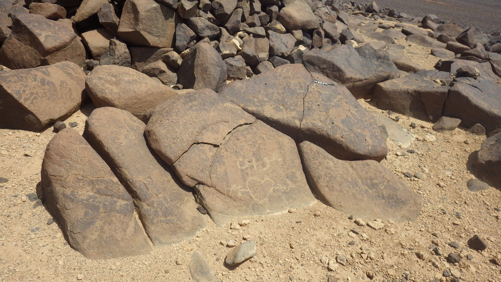 Rimg3784.jpg