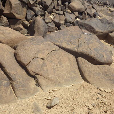 Rimg3784.jpg