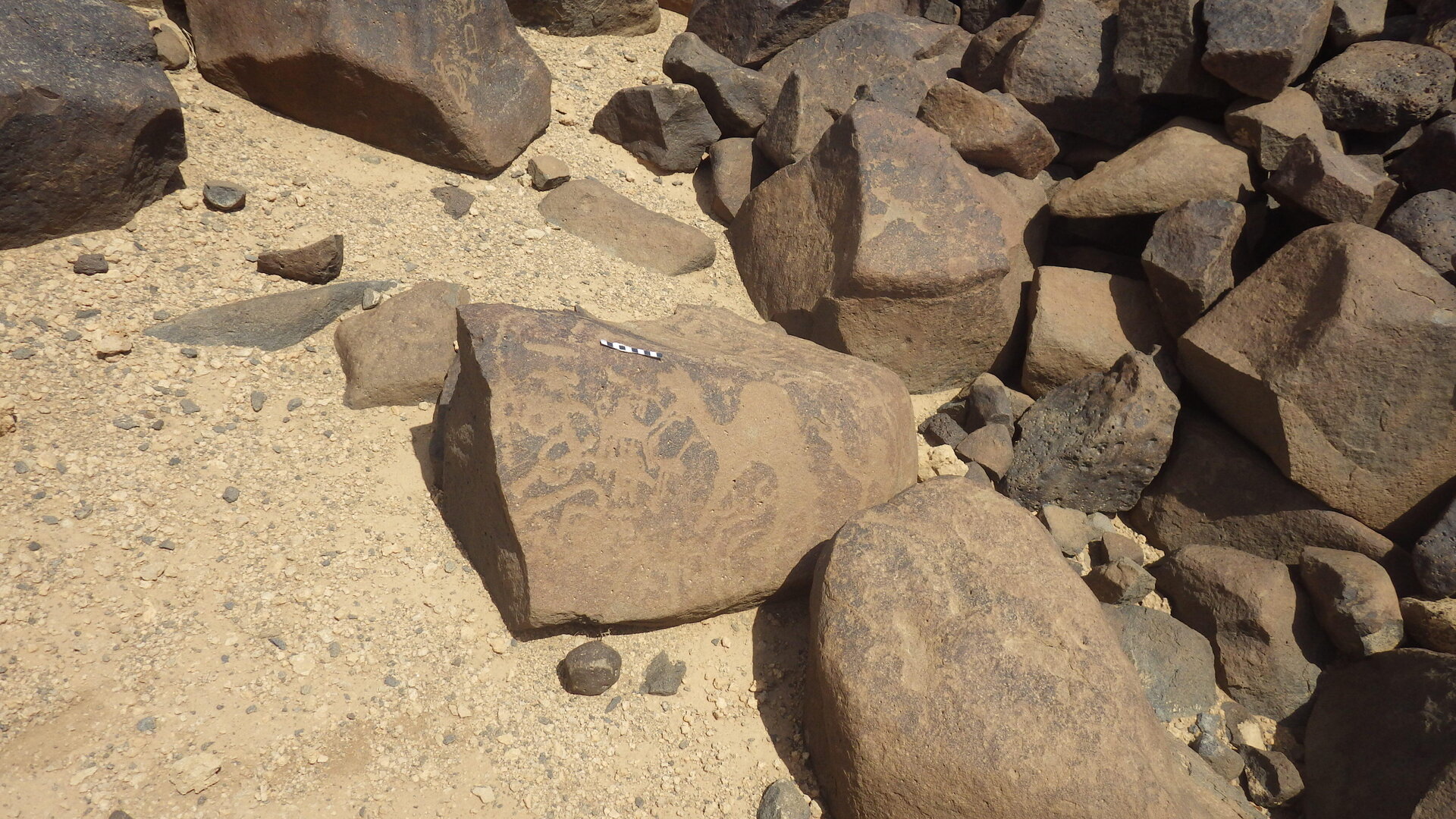 Rimg3790.jpg