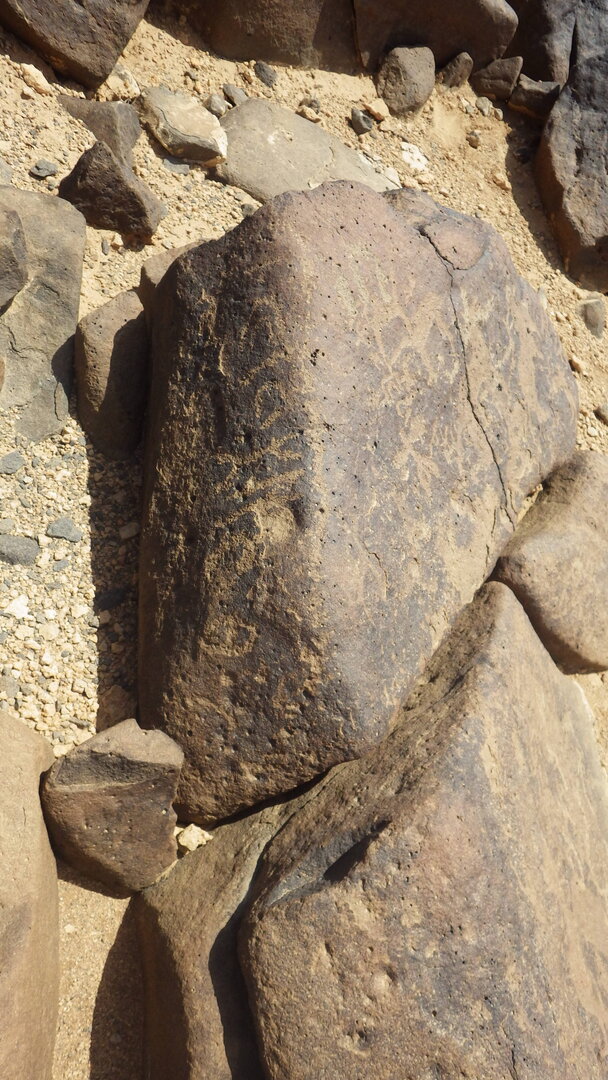 Rimg3794.jpg