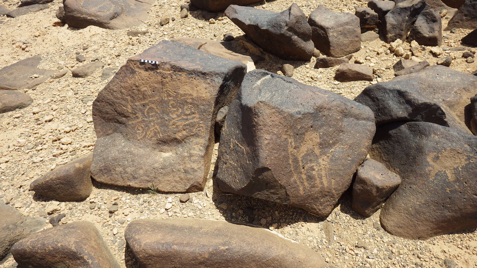 Rimg3799.jpg