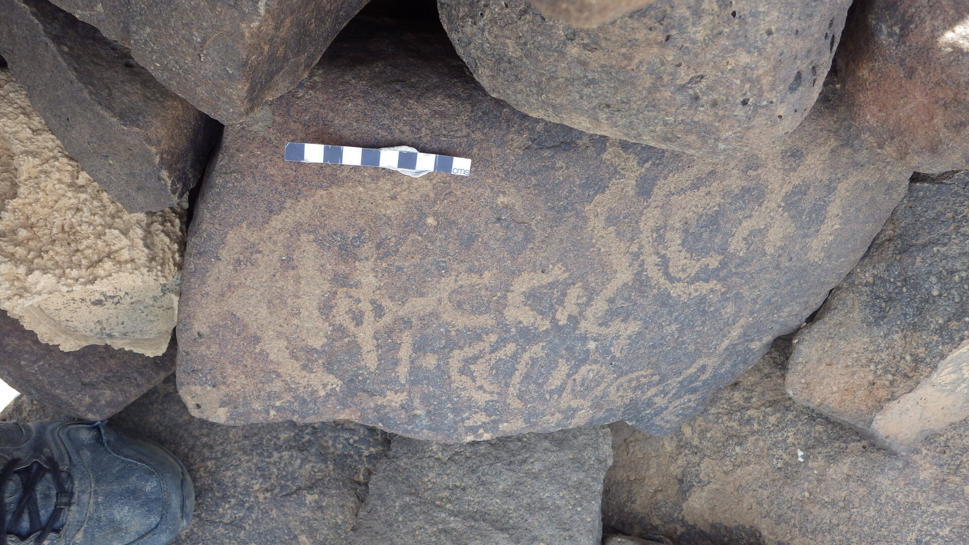 Rimg3802.jpg