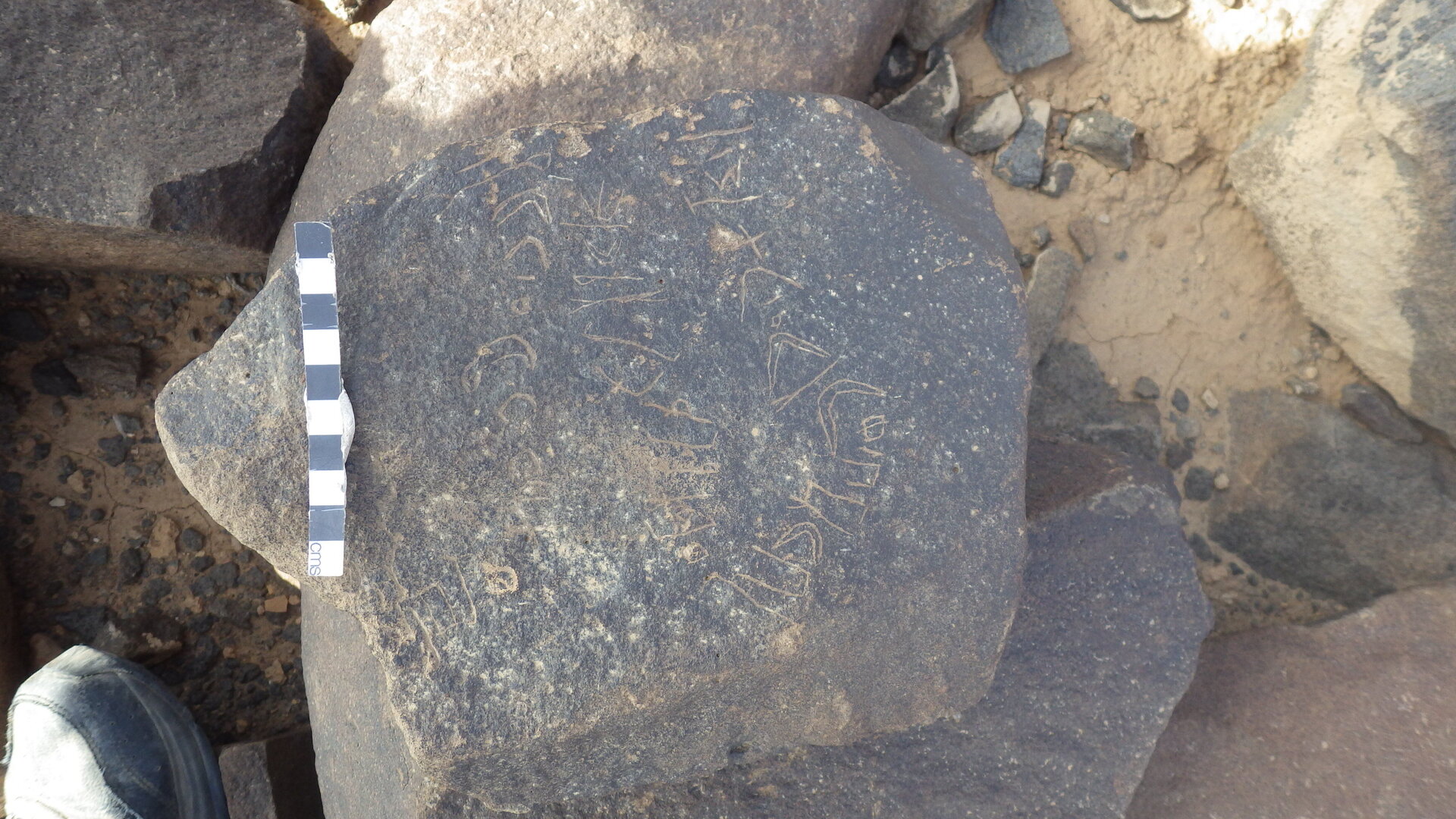 Rimg3424.jpg