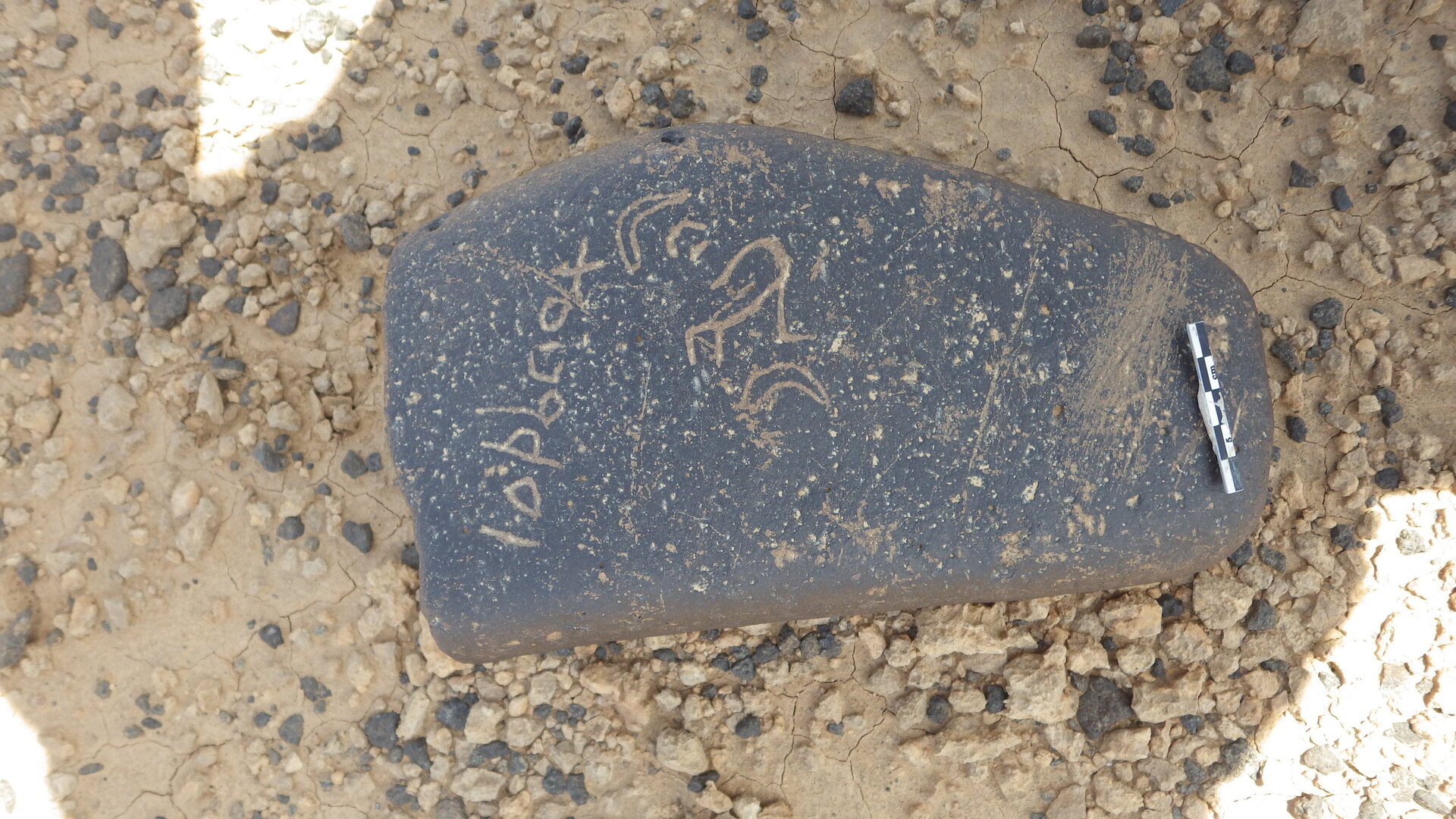 Rimg3846.jpg