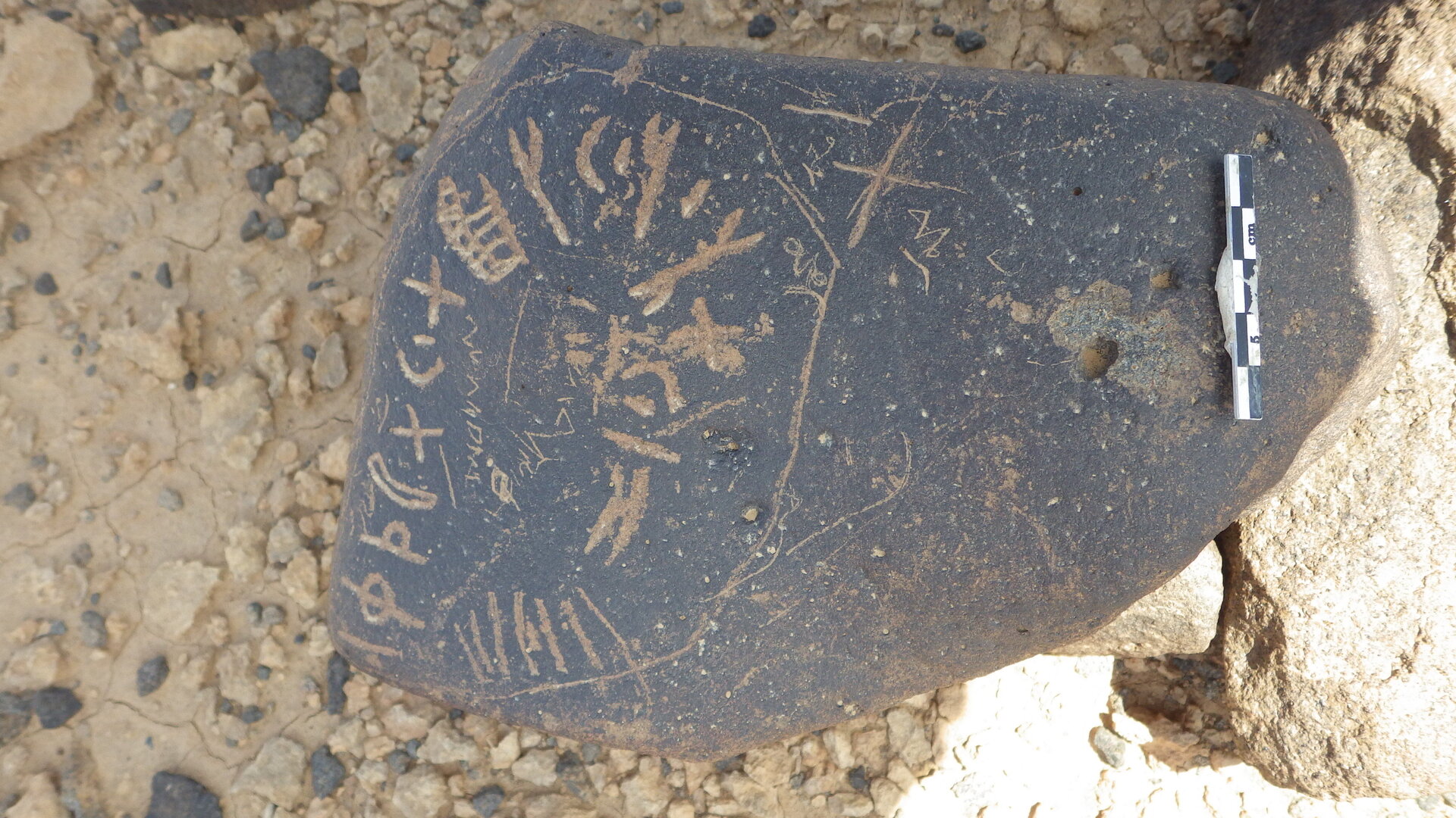 Rimg3848.jpg