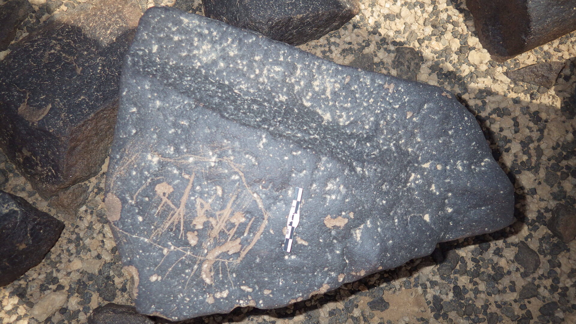 Rimg3851.jpg