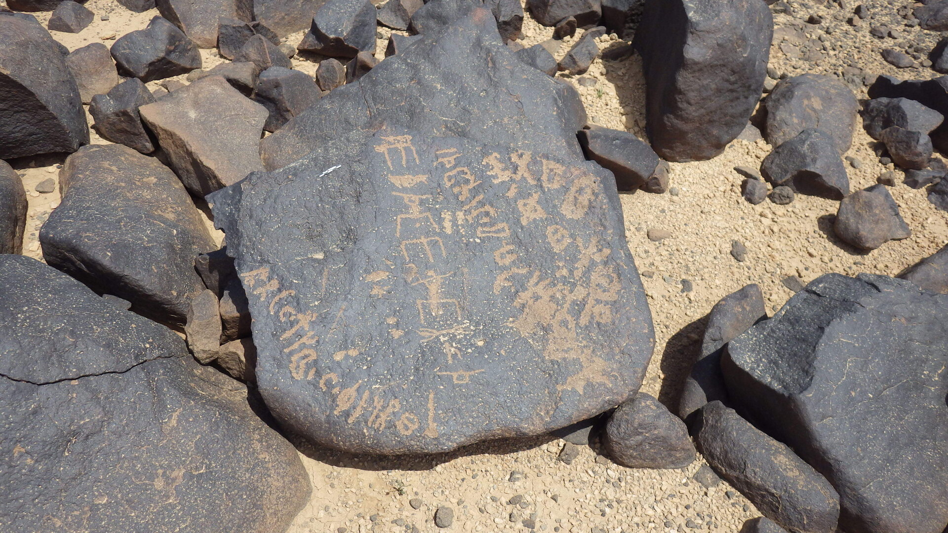 Rimg3857.jpg
