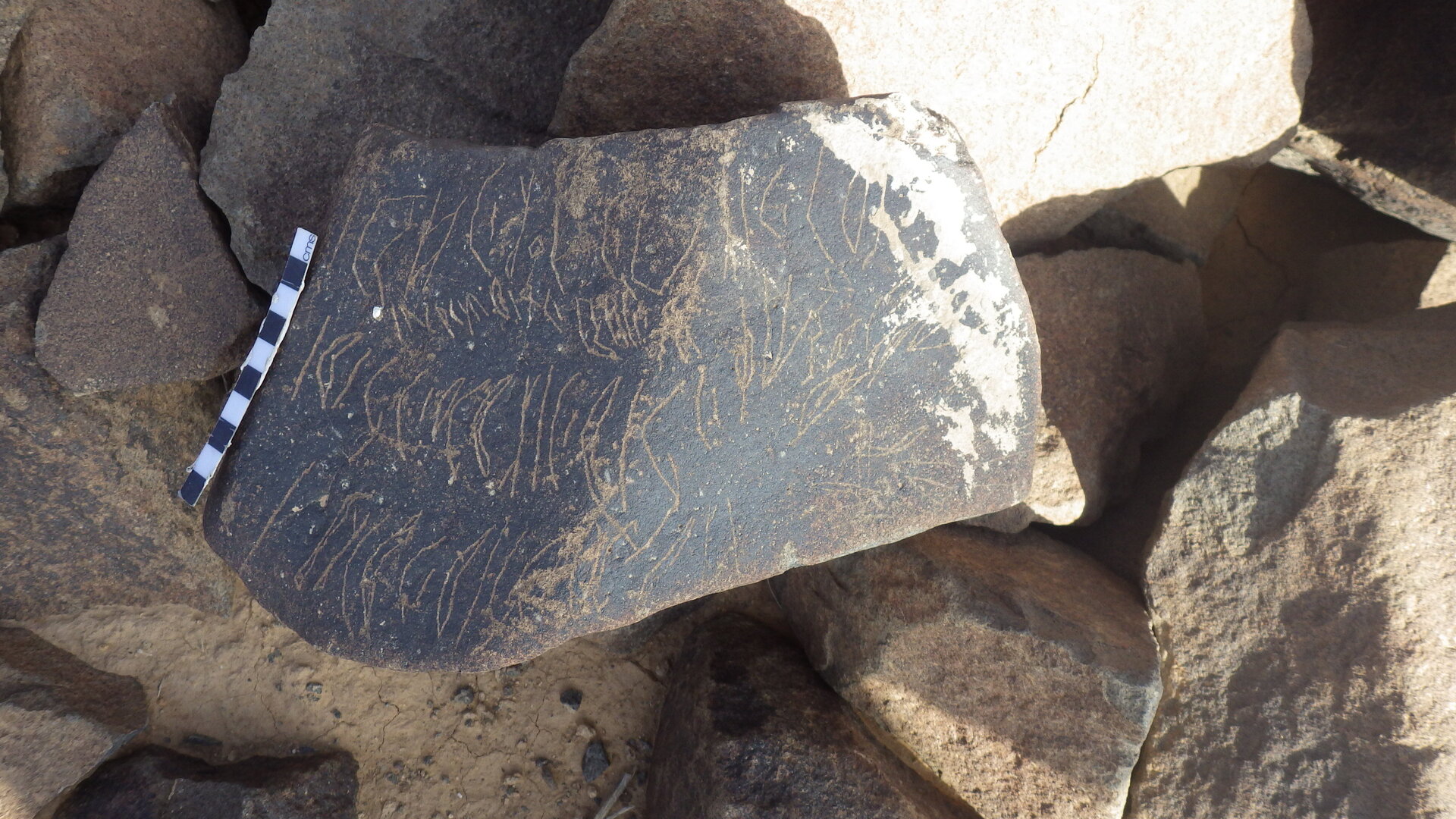 Rimg3439.jpg