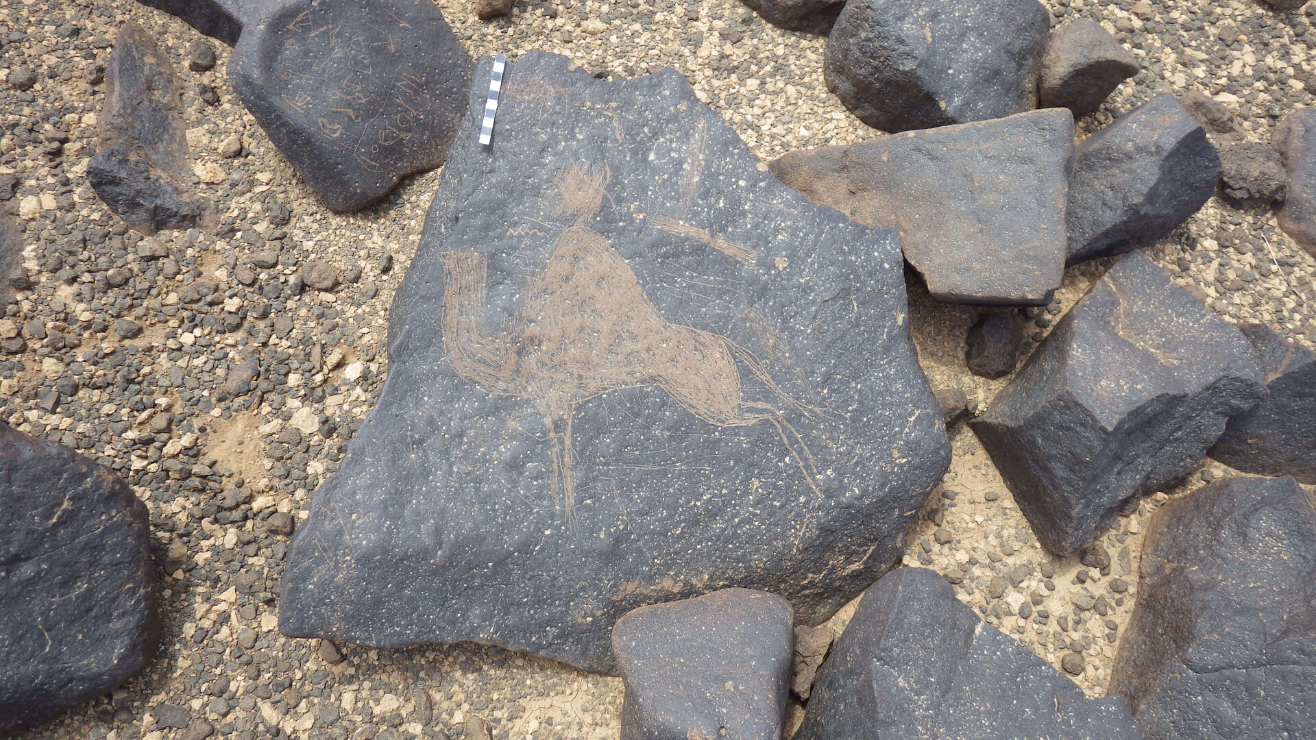 Rimg3863.jpg