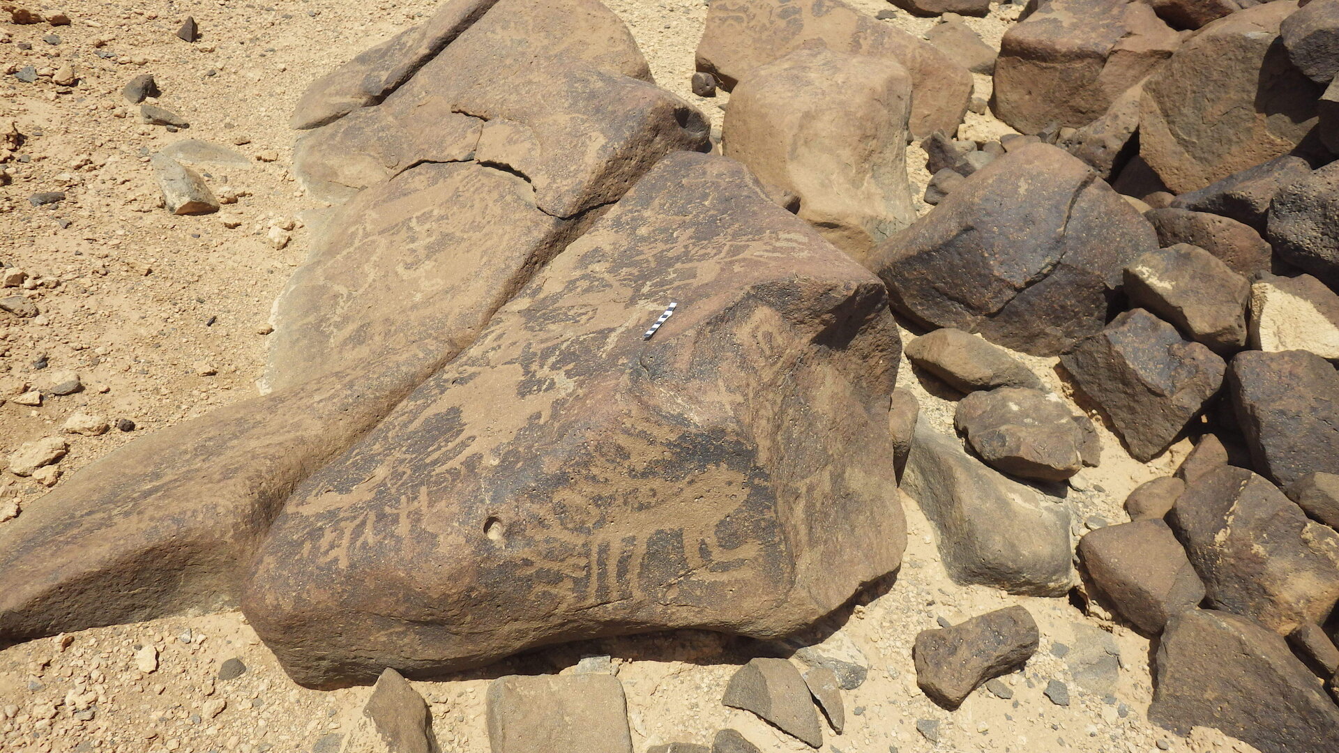 Rimg3787.jpg