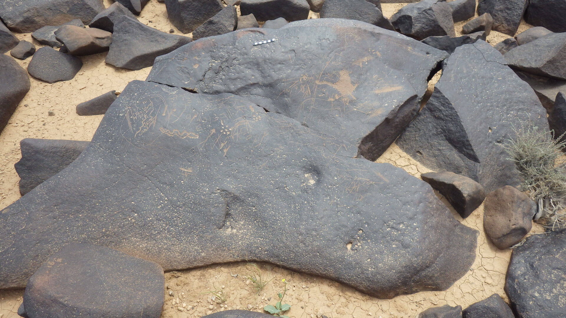 Rimg3881.jpg