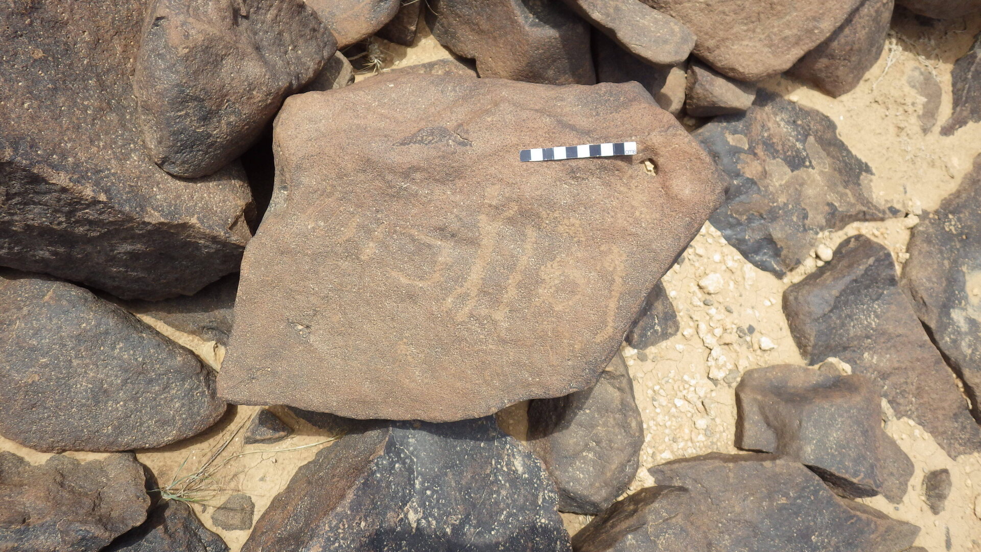 Rimg3894.jpg