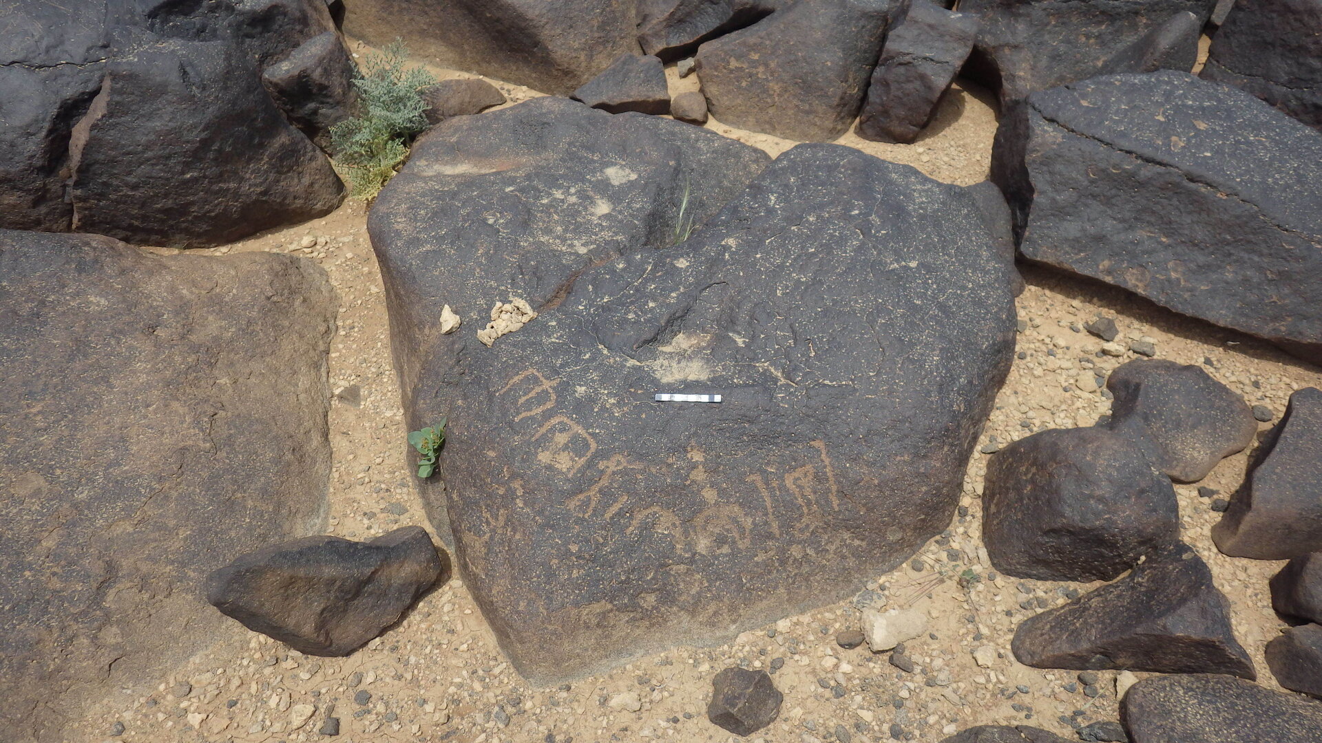 Rimg3898.jpg