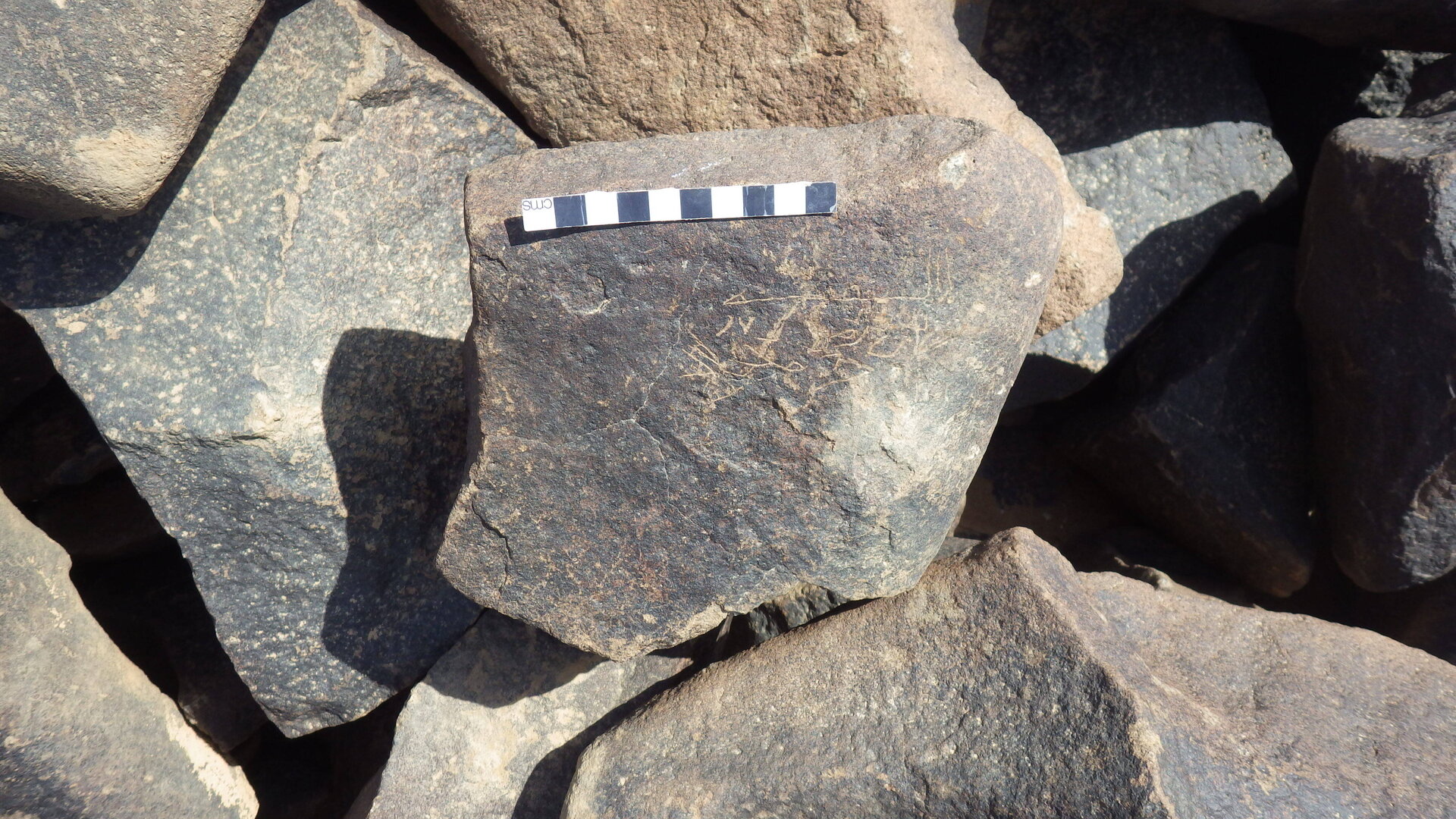 Rimg3905.jpg