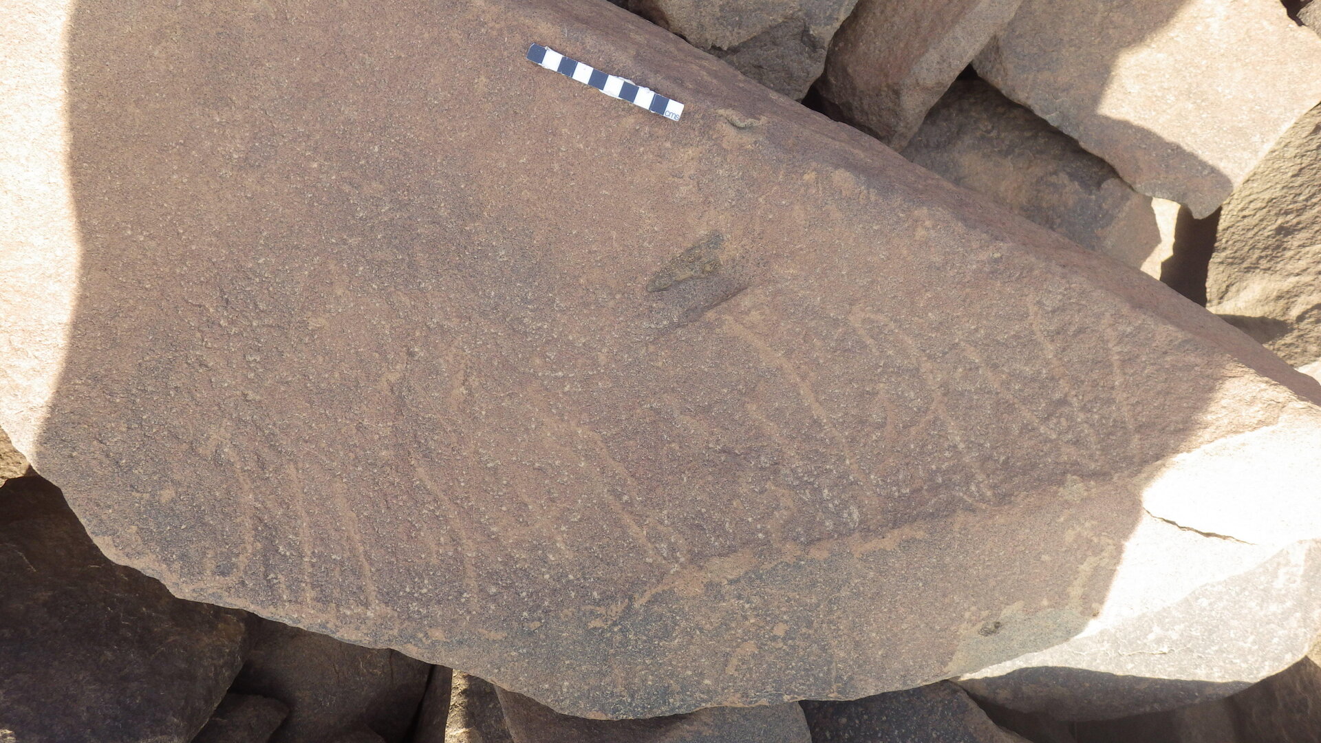 Rimg3391.jpg