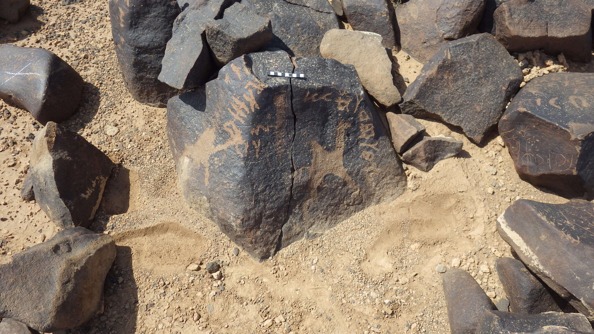 Rimg3945.jpg