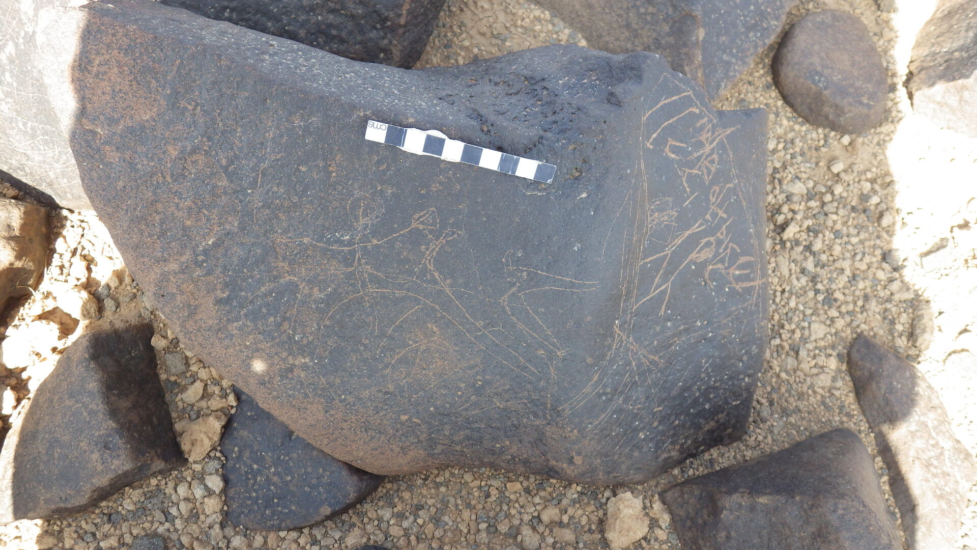 Rimg3968.jpg