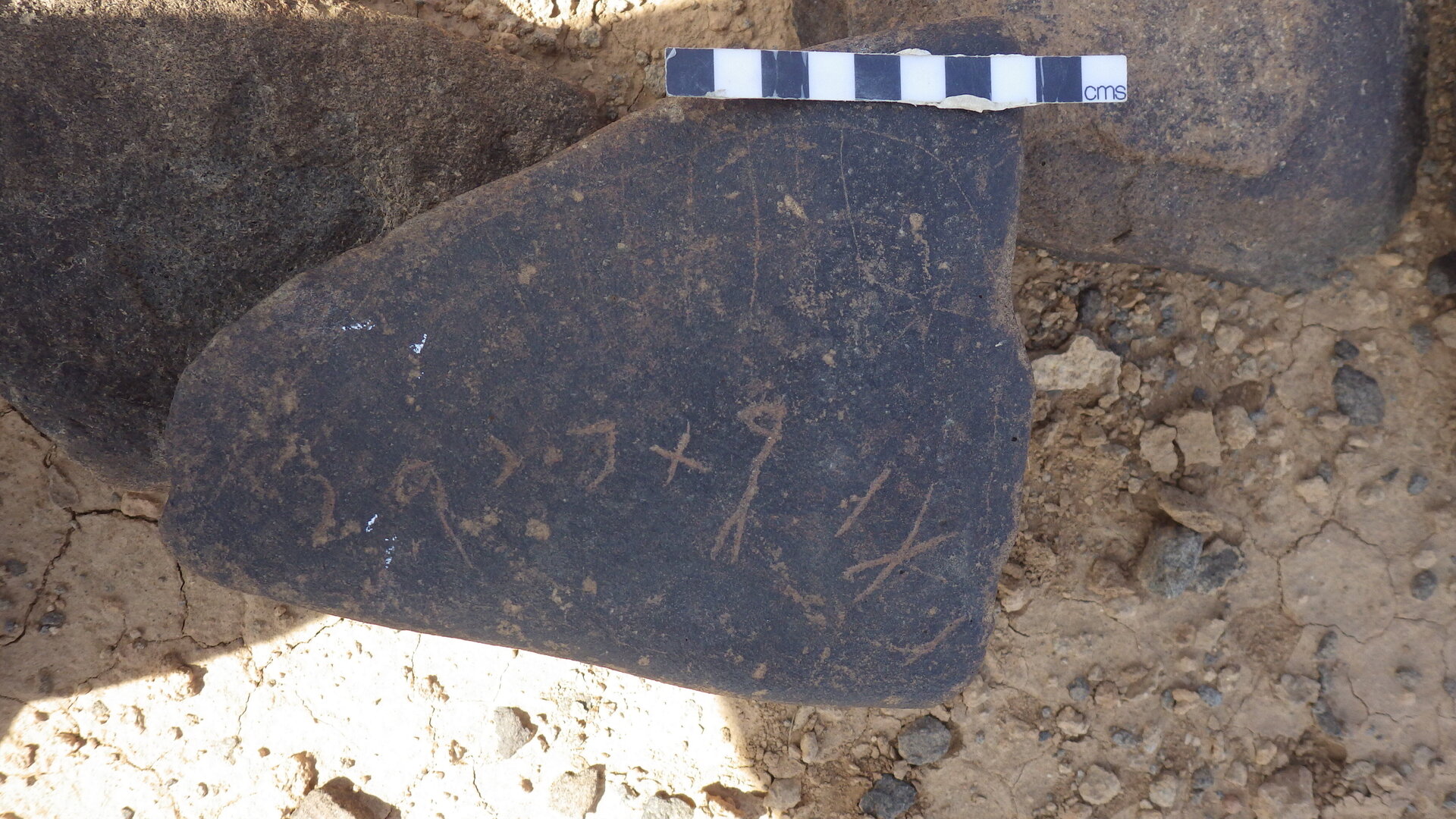 Rimg3987.jpg