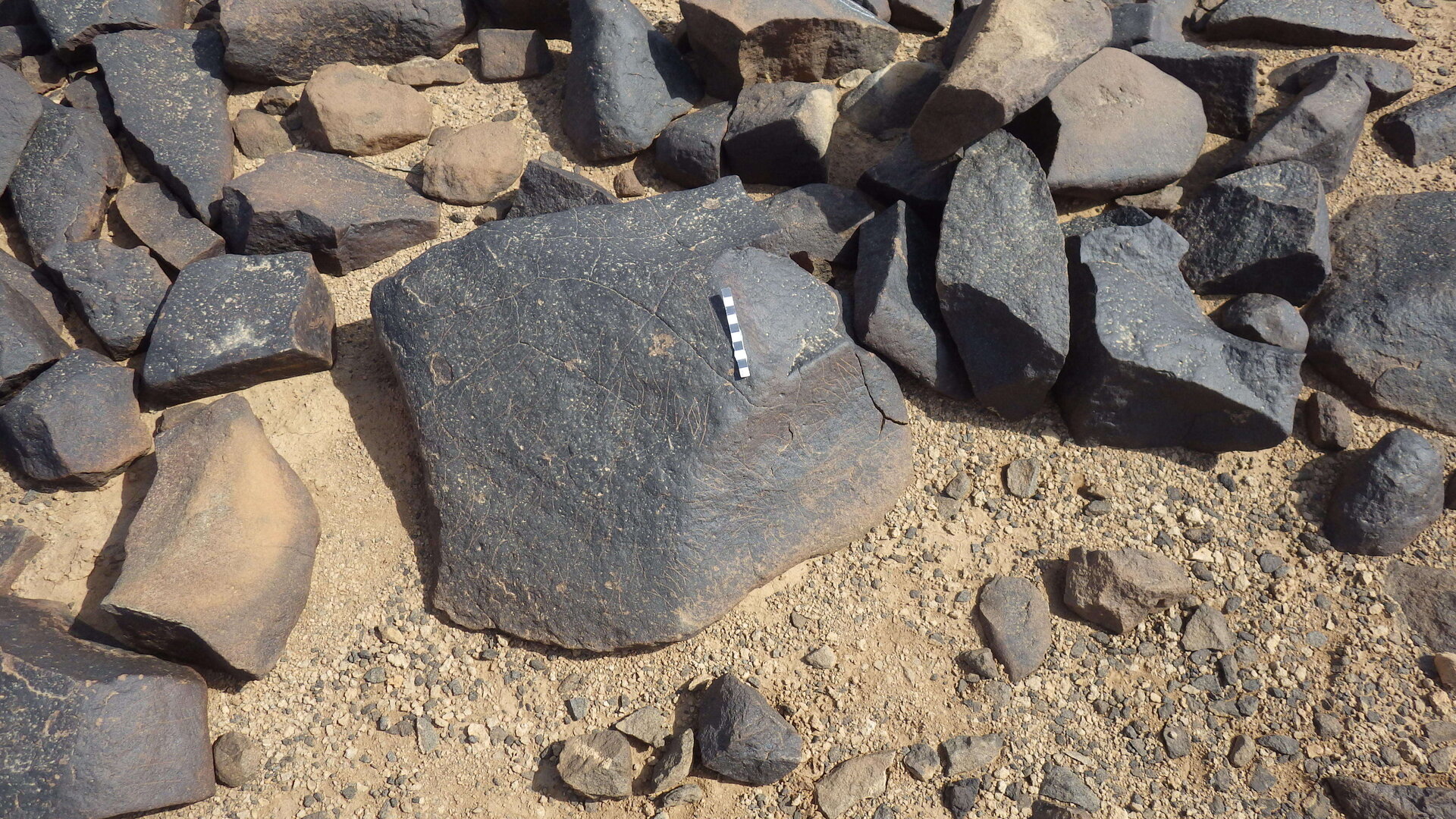 Rimg4024.jpg