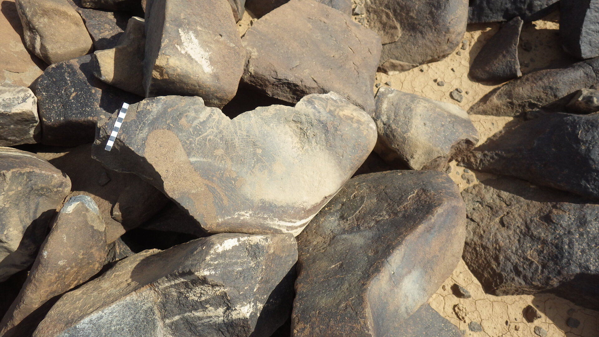 Rimg4119.jpg