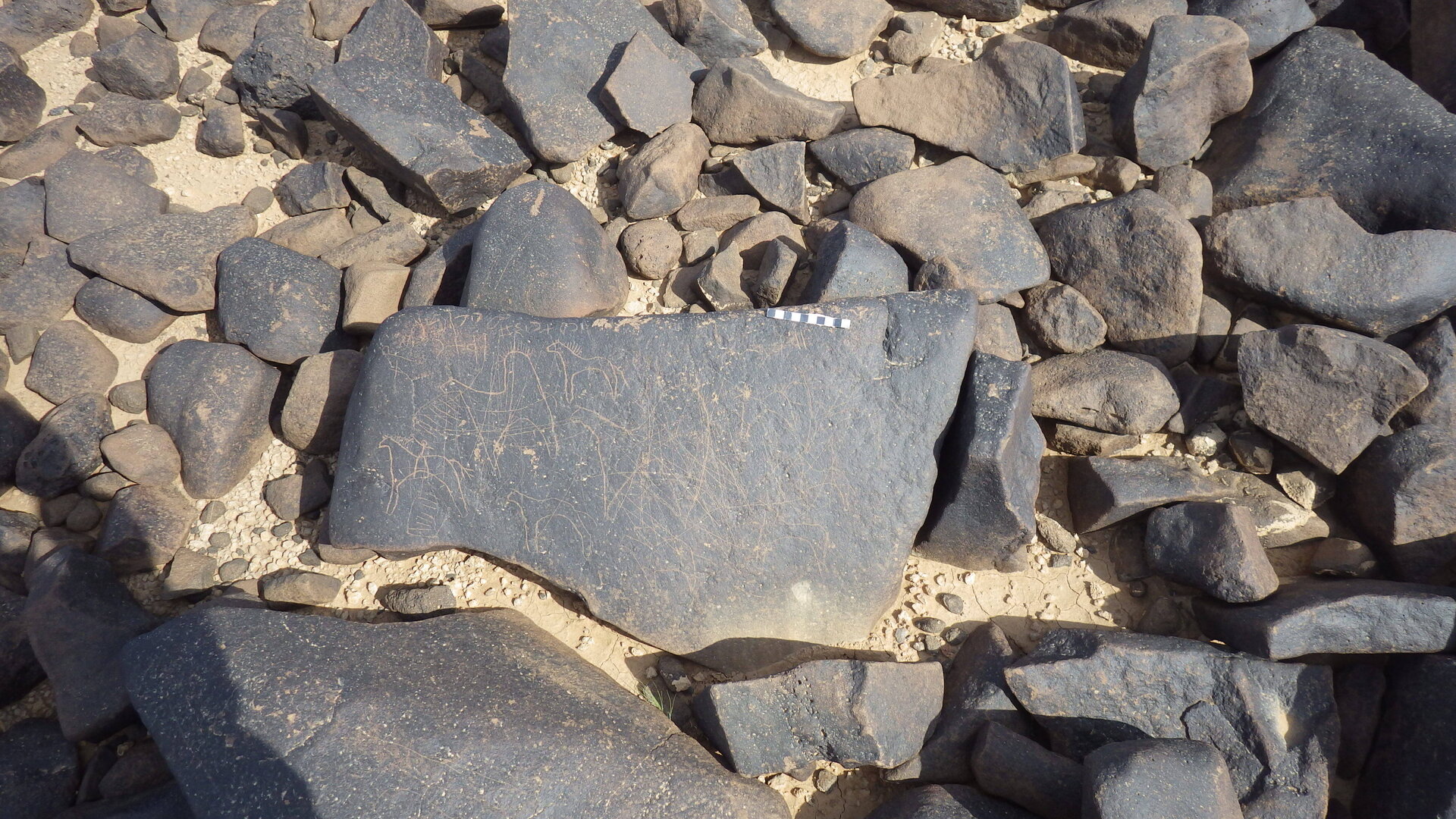 Rimg4140.jpg