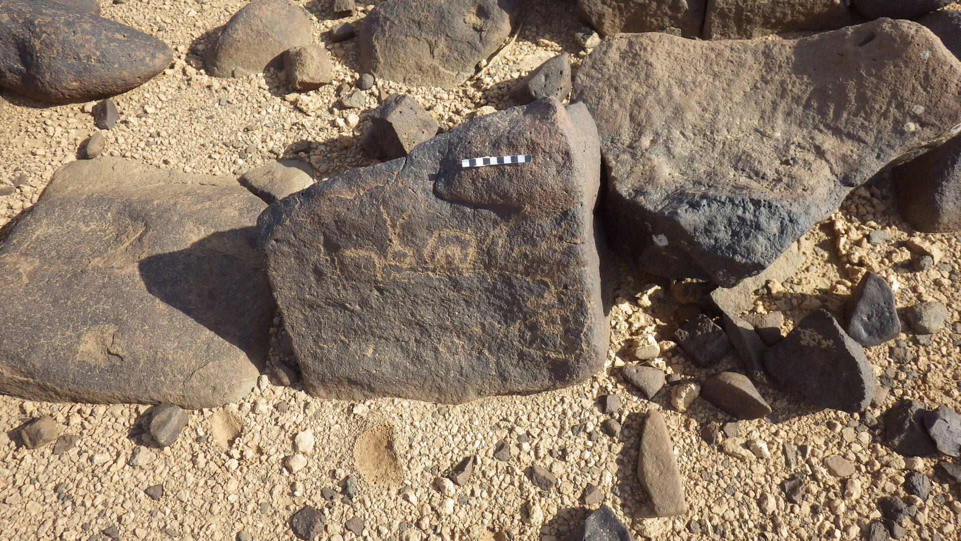 Rimg4170.jpg